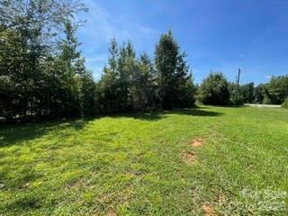 privacy side view - 1098 Macedonia Road, Gaffney