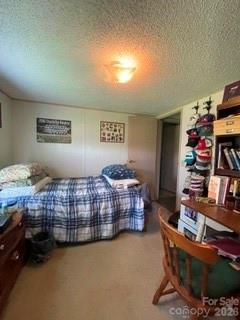 2nd Bedroom - 1098 Macedonia Road, Gaffney