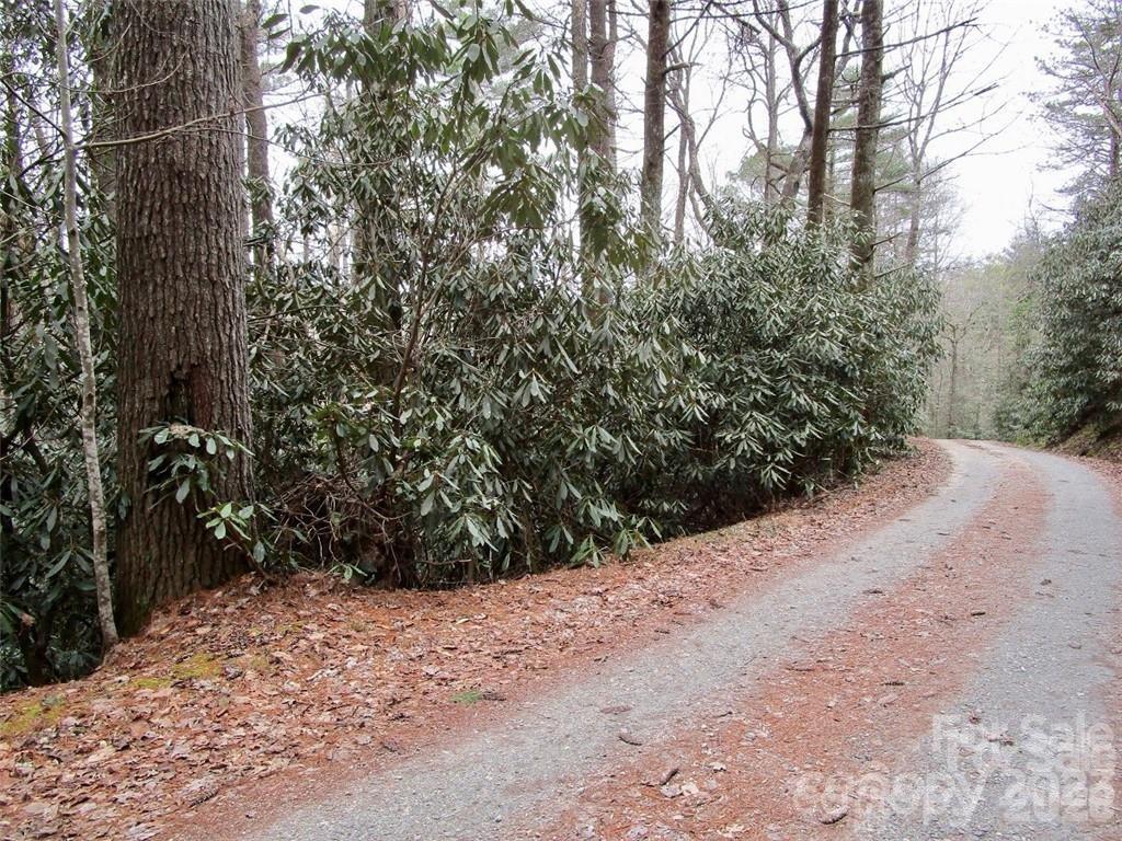 Lot at Lot #21 Toxaway Falls Drive, Lake Toxaway, photo 6 of 26