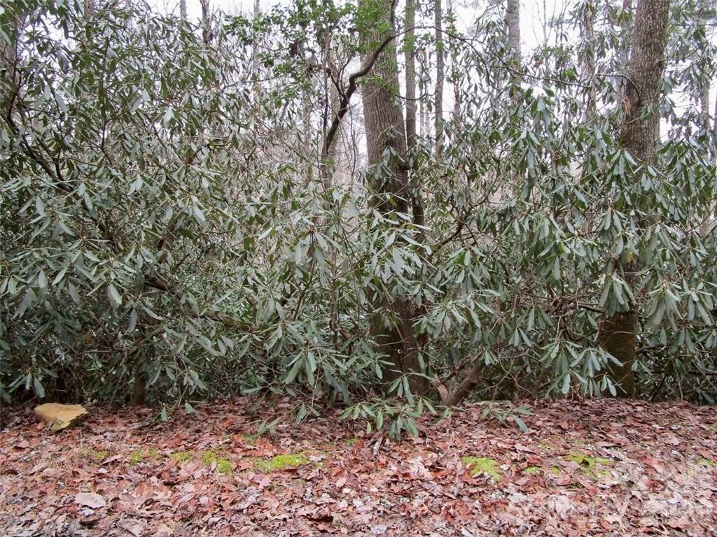 Lot at Lot #21 Toxaway Falls Drive, Lake Toxaway, photo 13 of 26