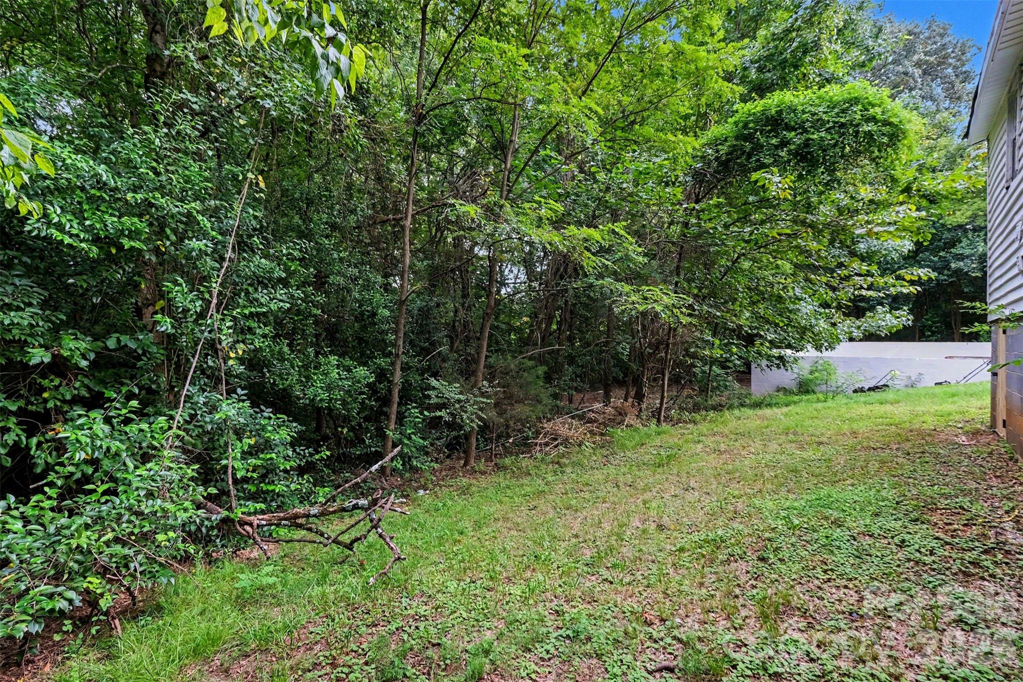 Backyard - 3860 Rock Hill Church Road, Concord