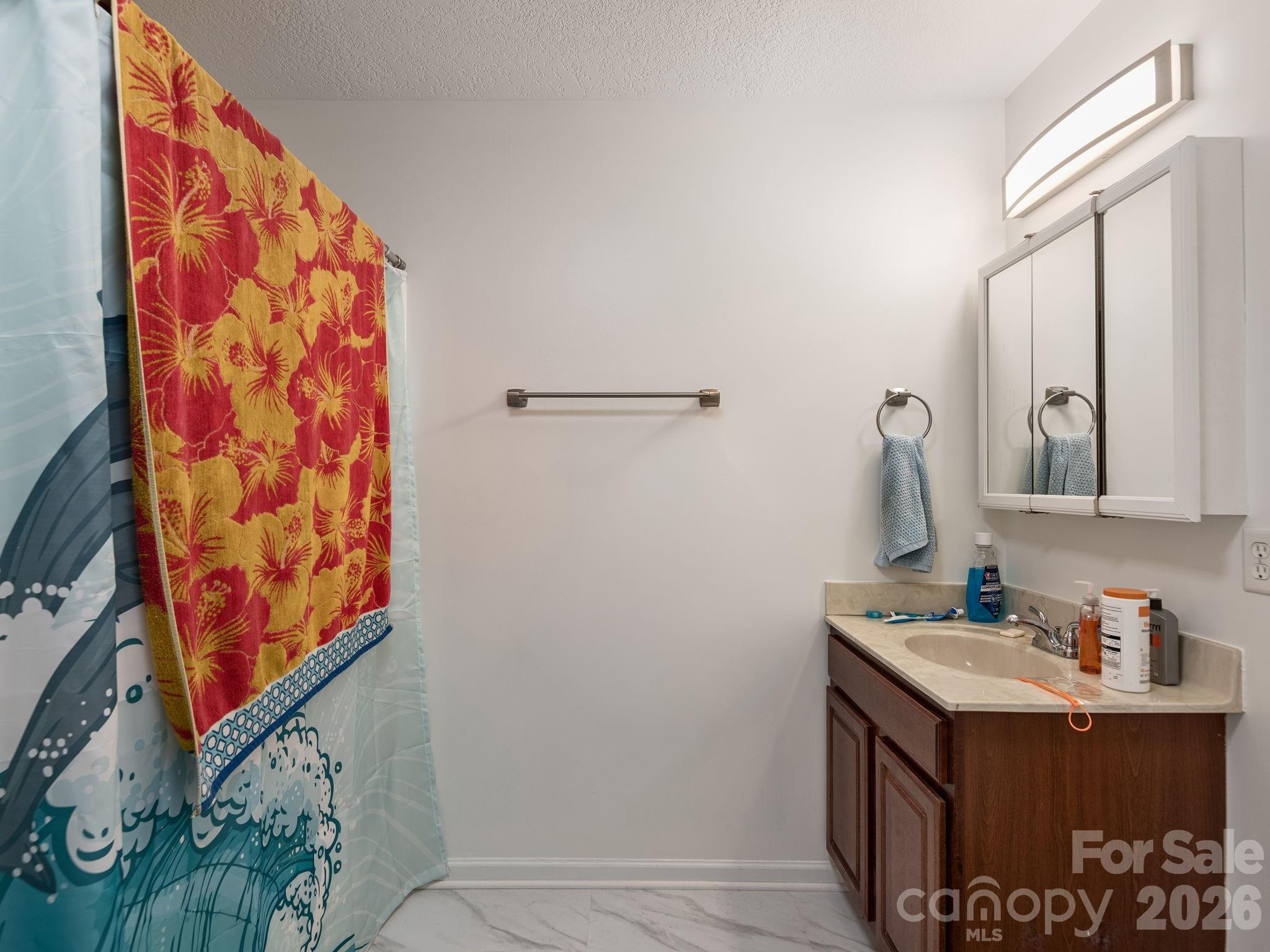 N/A at 222 TF Kirkpatrick Way, Candler, photo 22 of 30