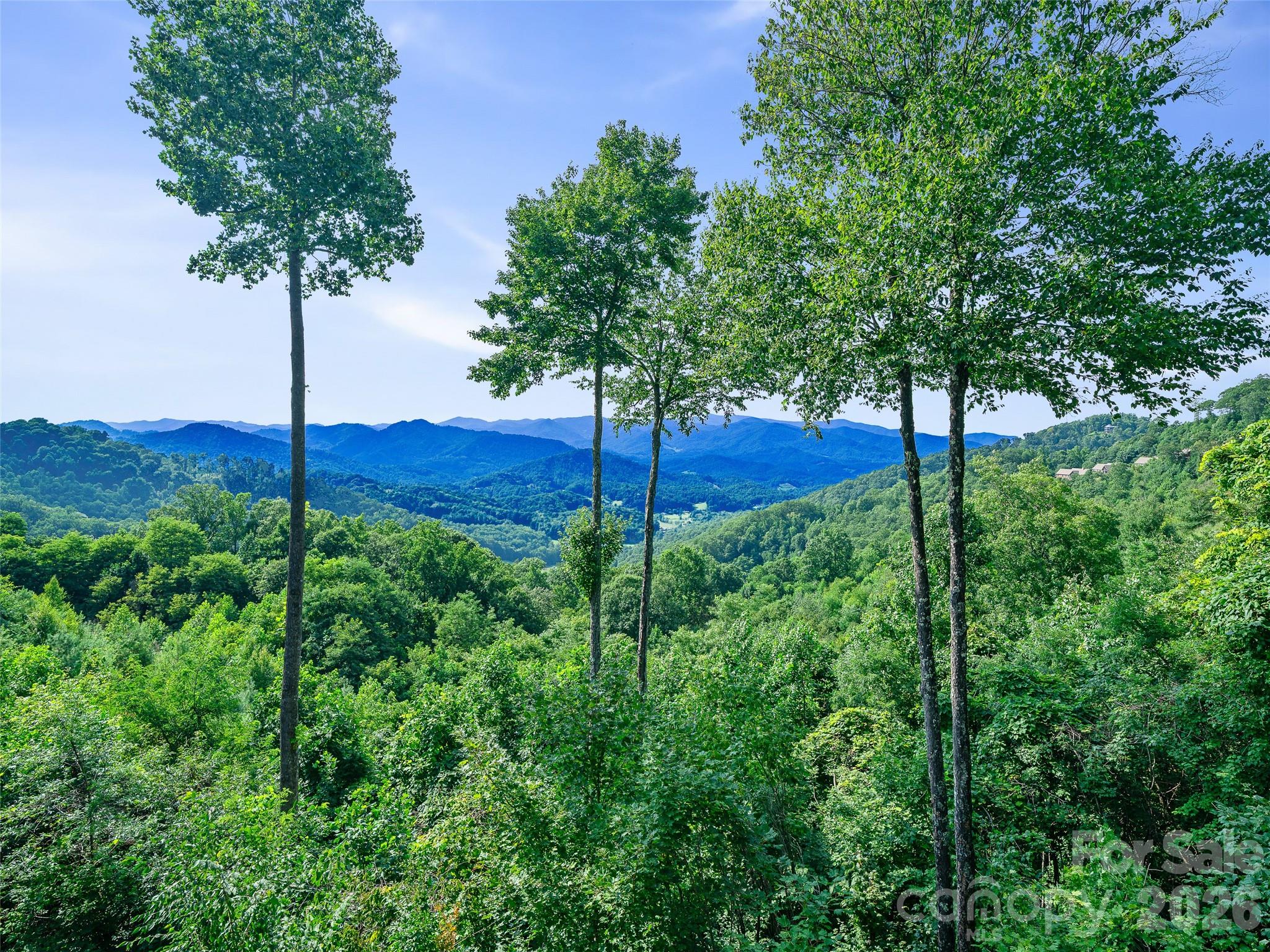 Perfectly limbed trees frame the view! - 530 Andrew Banks Road, Burnsville