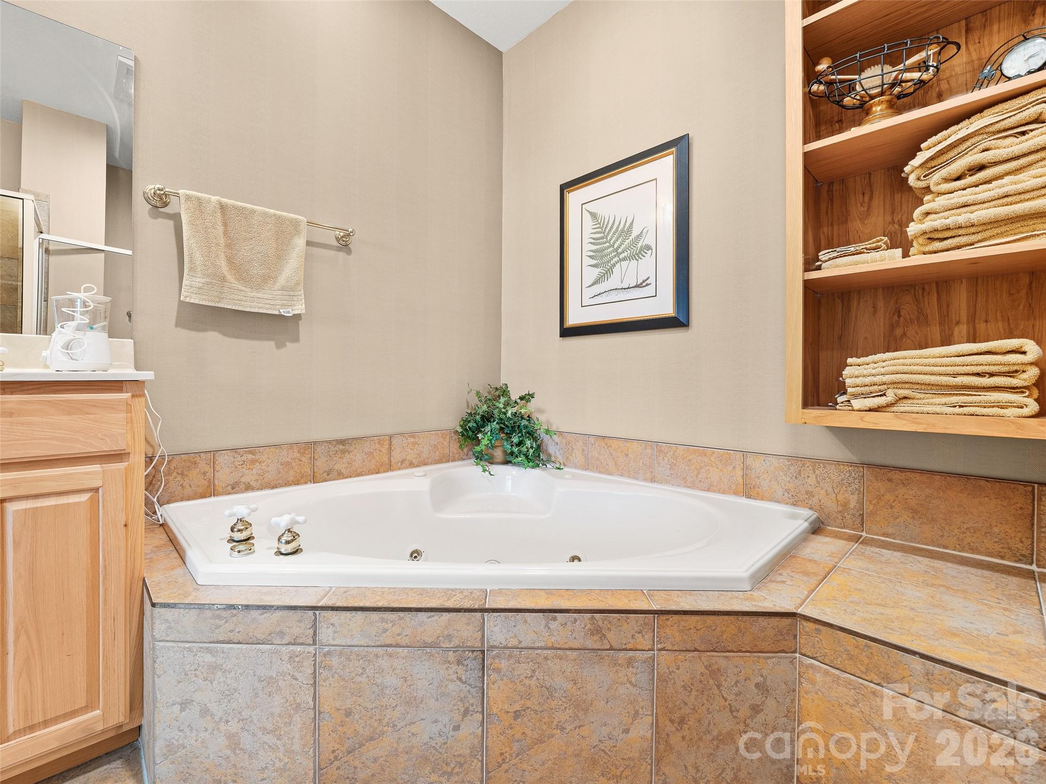 Soaker tub - 81 Stoney Falls Loop, Burnsville