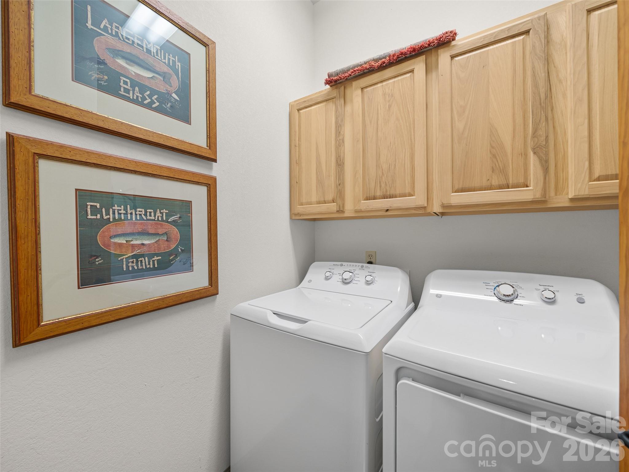 Laundry room - main - 81 Stoney Falls Loop, Burnsville