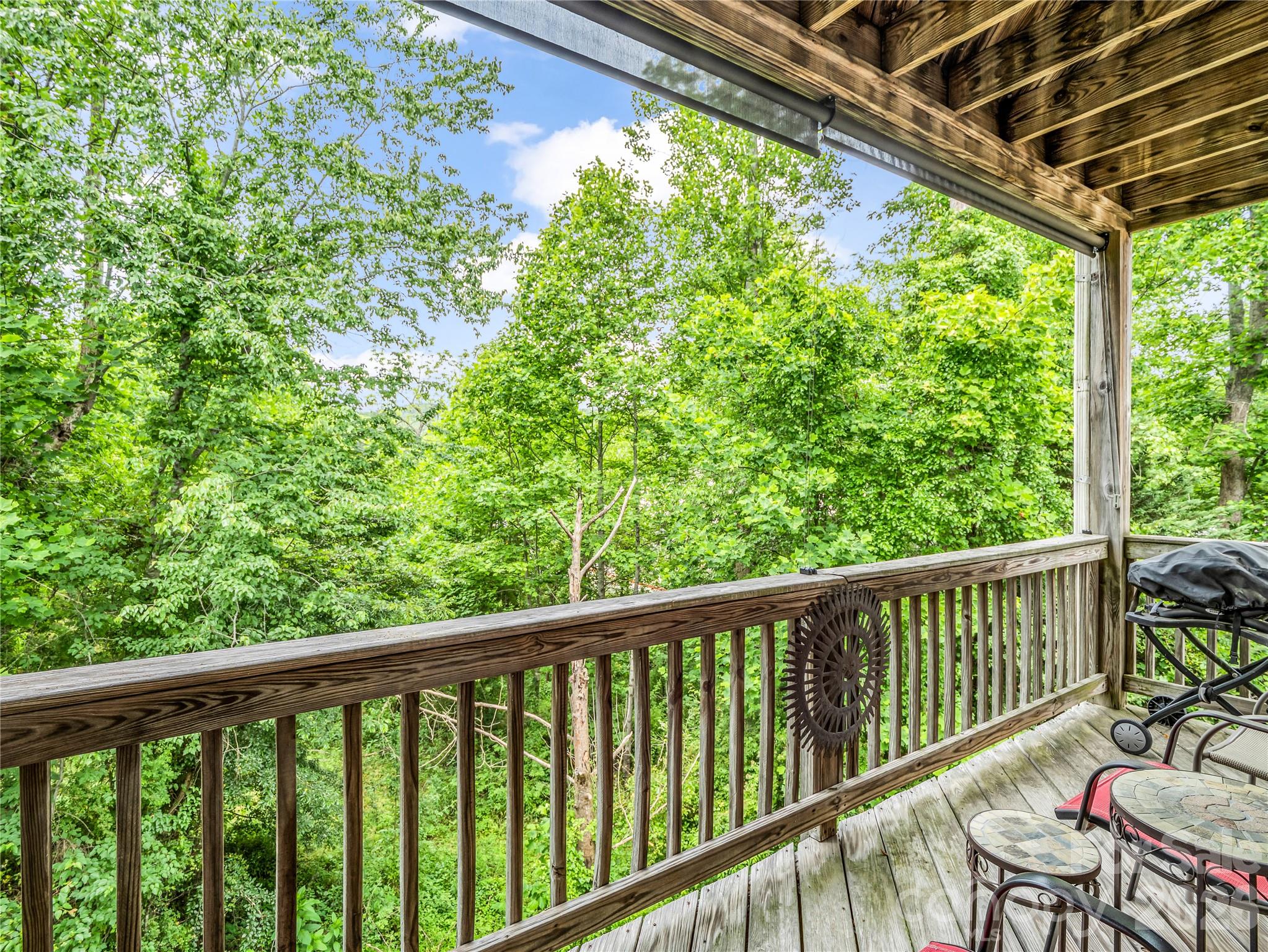 Condominium at 119 Downing Park Court, Brevard, photo 23 of 40