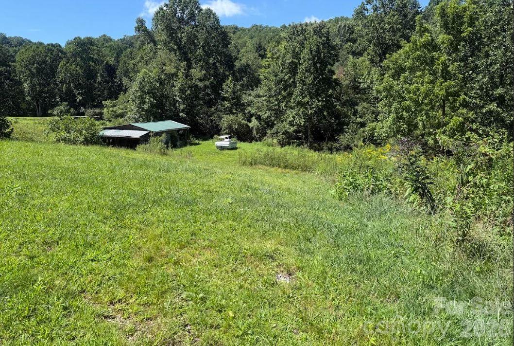 Area behind the house with small creek - 107 Flat Creek Drive, Lake Toxaway