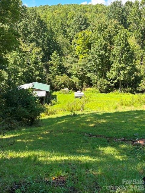 backyard - 107 Flat Creek Drive, Lake Toxaway