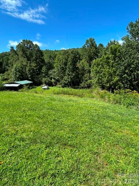 backyard - 107 Flat Creek Drive, Lake Toxaway