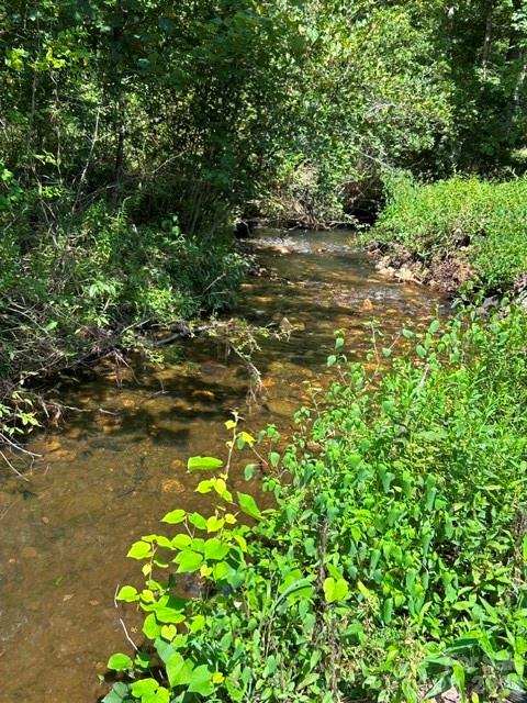 nice creek at bottom of the property - 107 Flat Creek Drive, Lake Toxaway