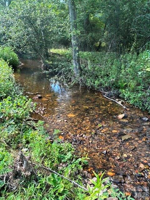 creek at the bottom of the propety - 107 Flat Creek Drive, Lake Toxaway