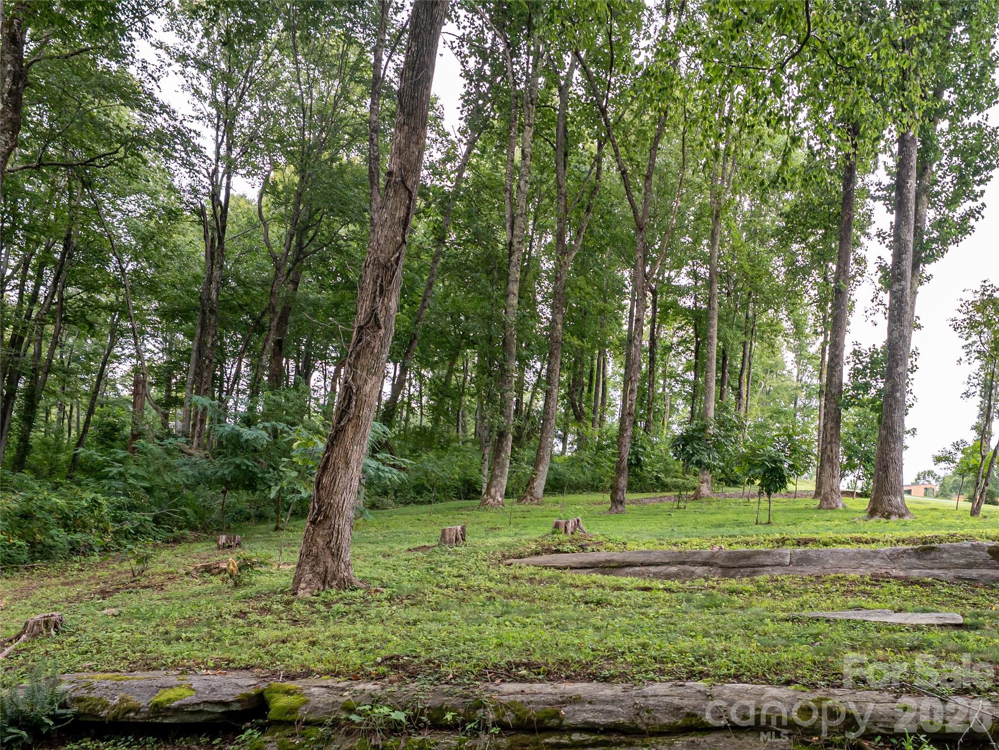 Lot at 000 Laurel Ledge Way, Fletcher, photo 4 of 23