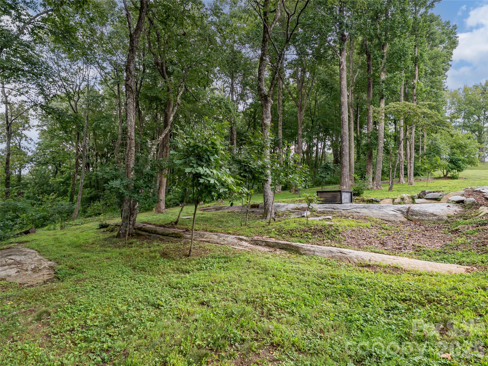 Lot at 000 Laurel Ledge Way, Fletcher, photo 22 of 23