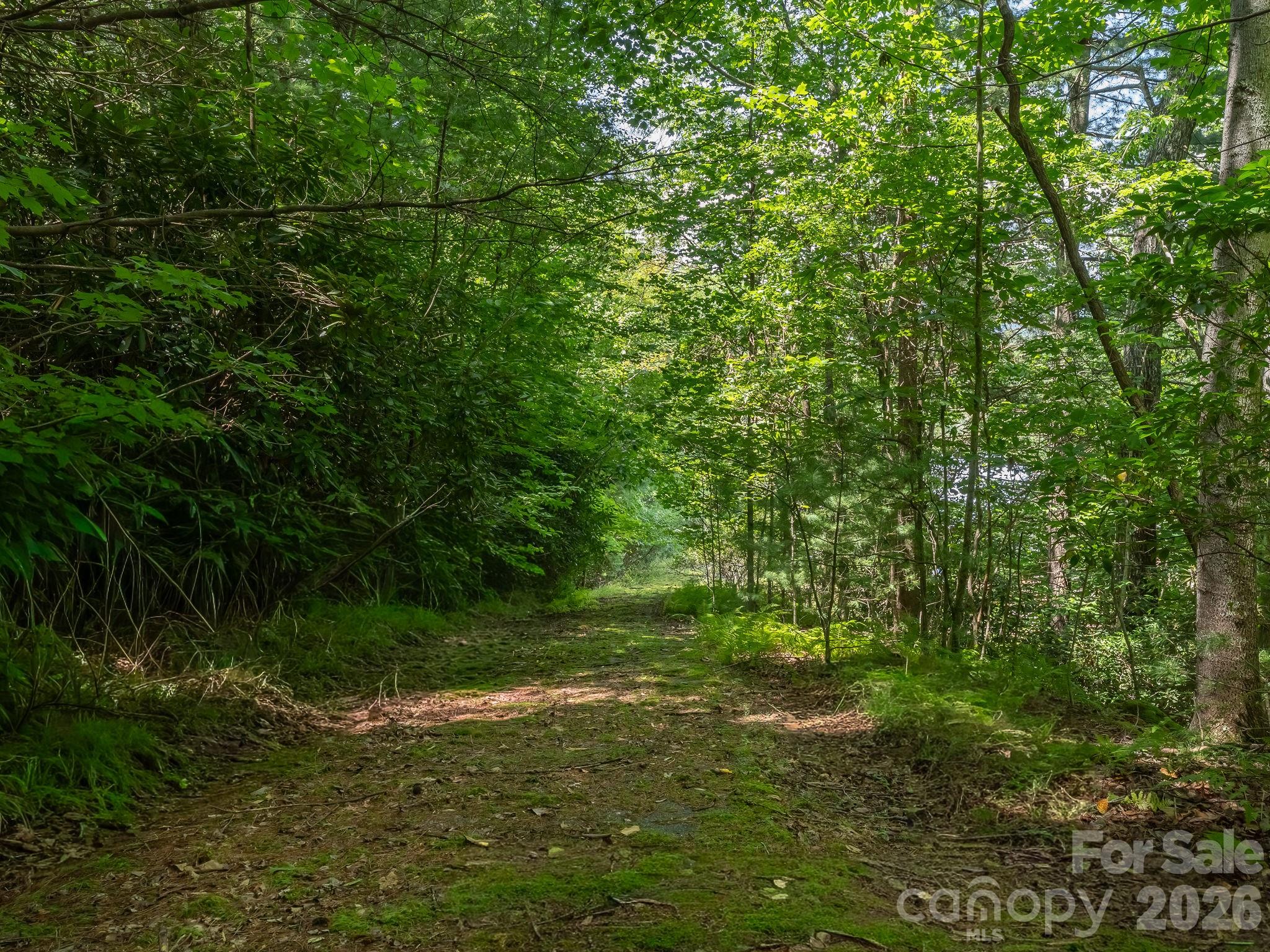 Older paved surface driveway leading to Parcel 1 & 2 - 0 Hebron Road, Hendersonville
