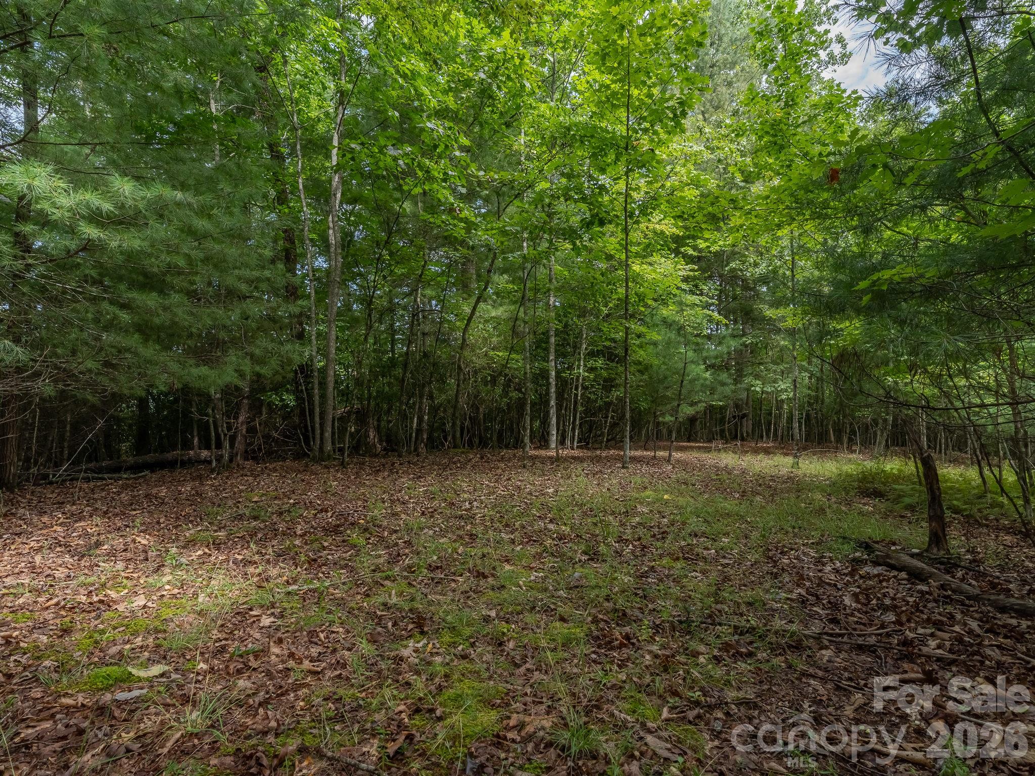 Beautiful level building site in Parcel 1 - 0 Hebron Road, Hendersonville