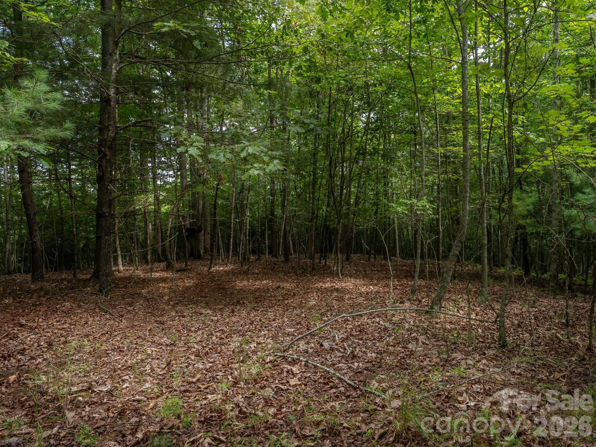 Another view of Parcel 1 - 0 Hebron Road, Hendersonville