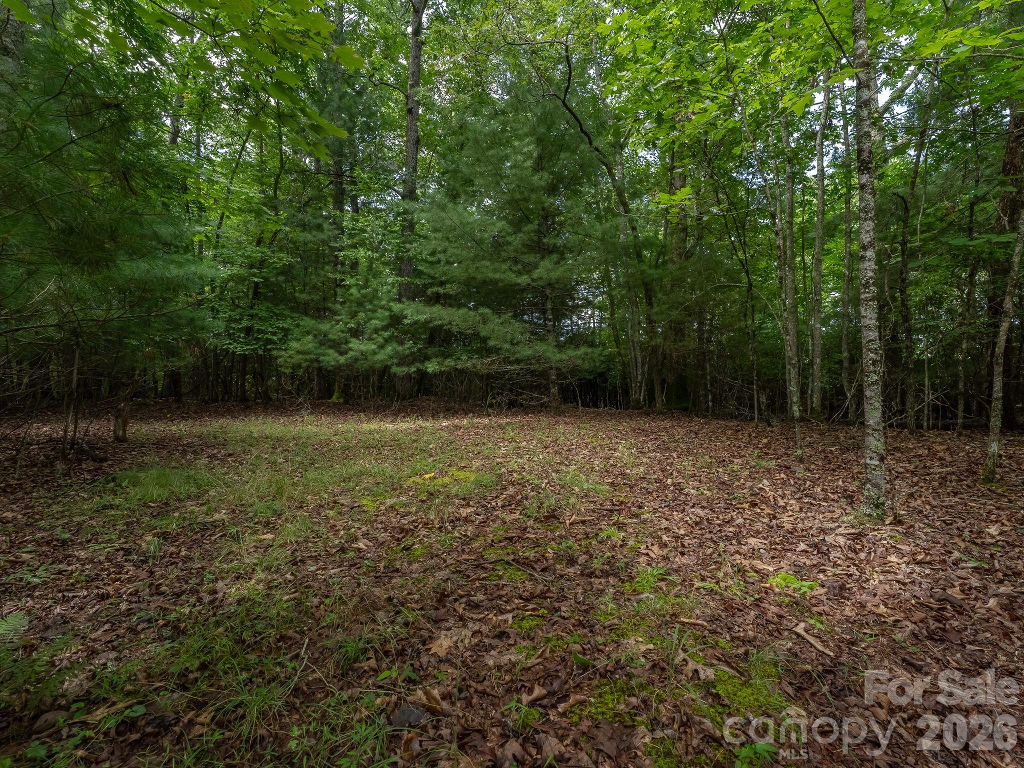 Level site Parcel 1 - 0 Hebron Road, Hendersonville