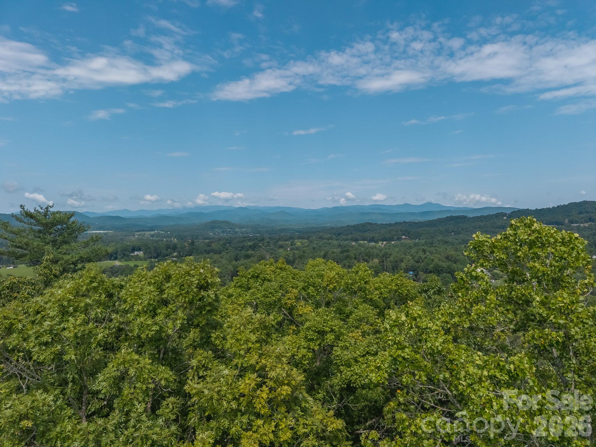 Drone shot just above the tree line on Parcel 1 - 0 Hebron Road, Hendersonville