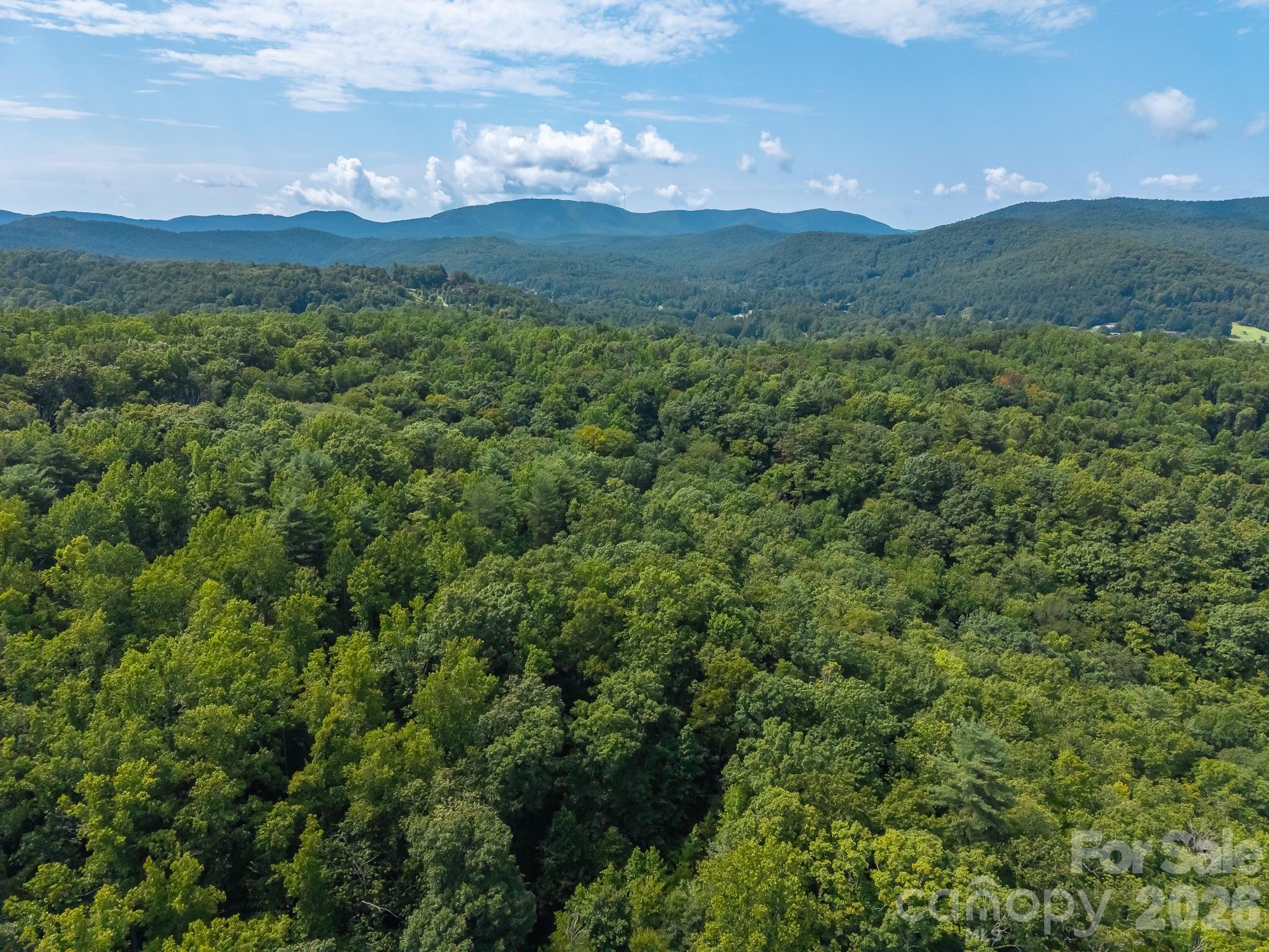 Just above tree line on Parcel 1 showing potential views. - 0 Hebron Road, Hendersonville