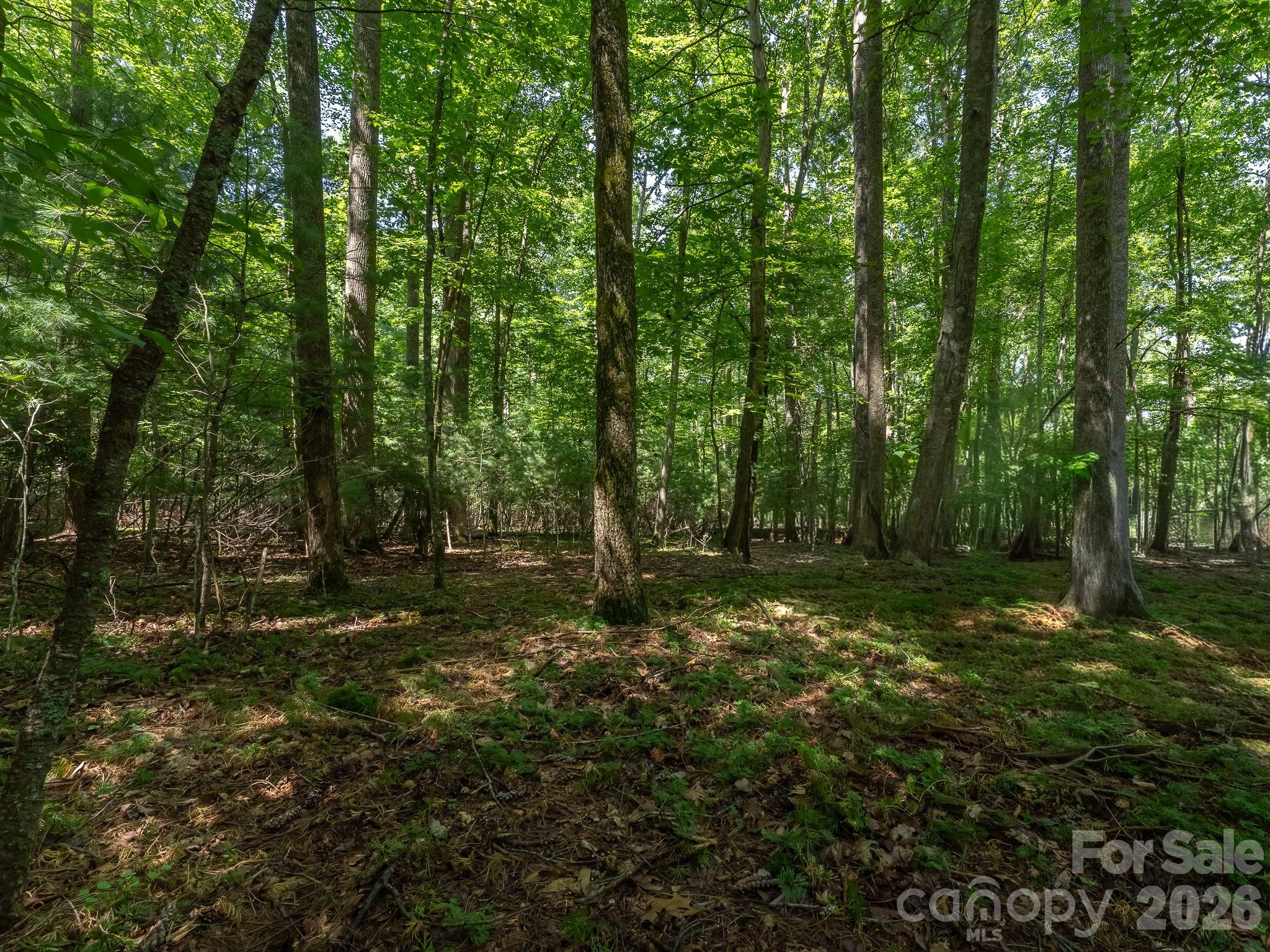 Beautiful level building site on Parcel 2. - 0 Hebron Road, Hendersonville
