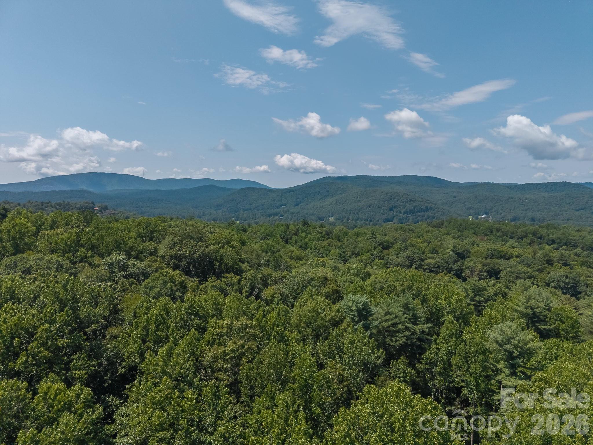 Just over the tree line of Parcel 2 showing view - 0 Hebron Road, Hendersonville
