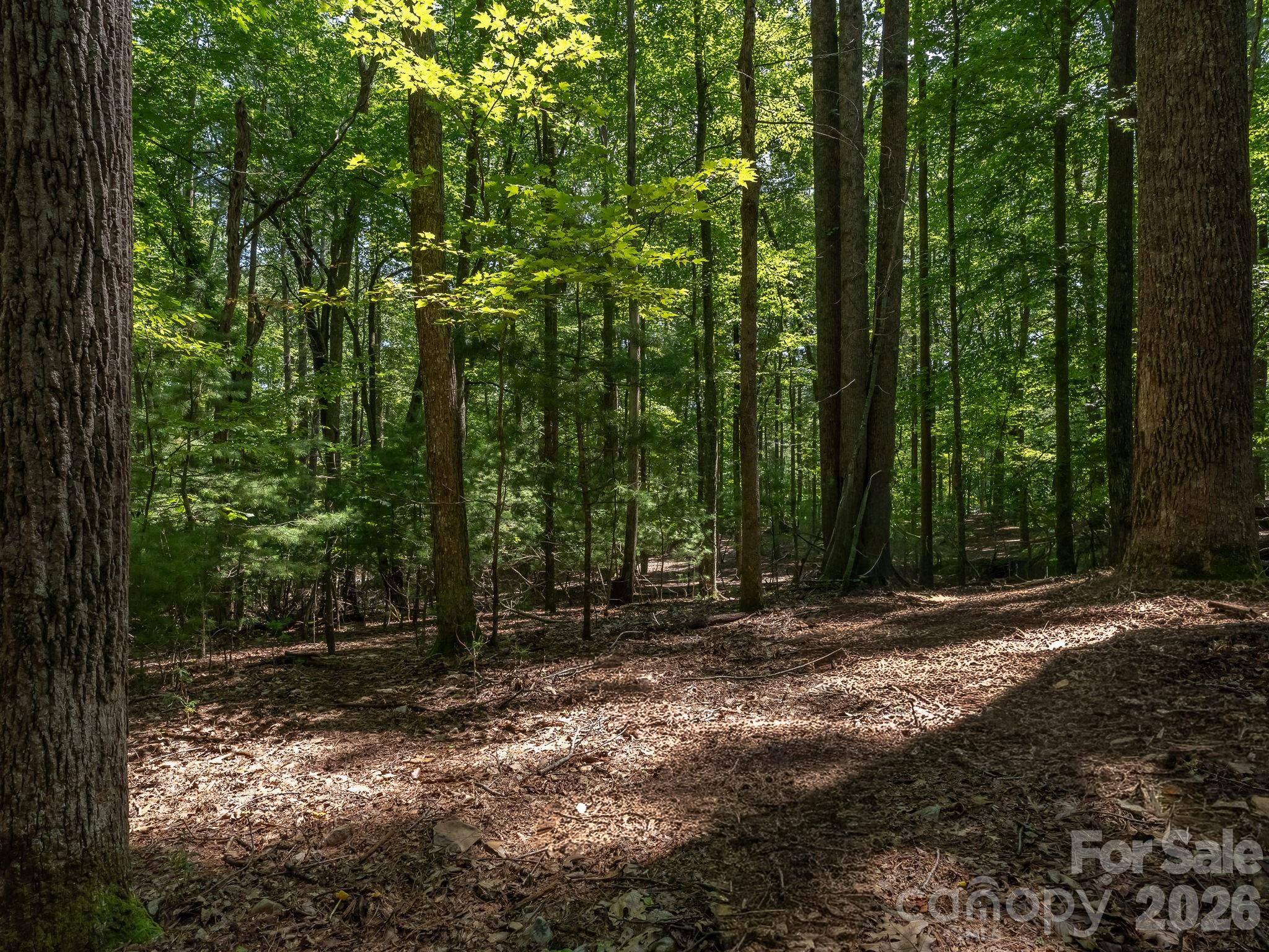 Beautiful building site on Parcel 3 - 0 Hebron Road, Hendersonville