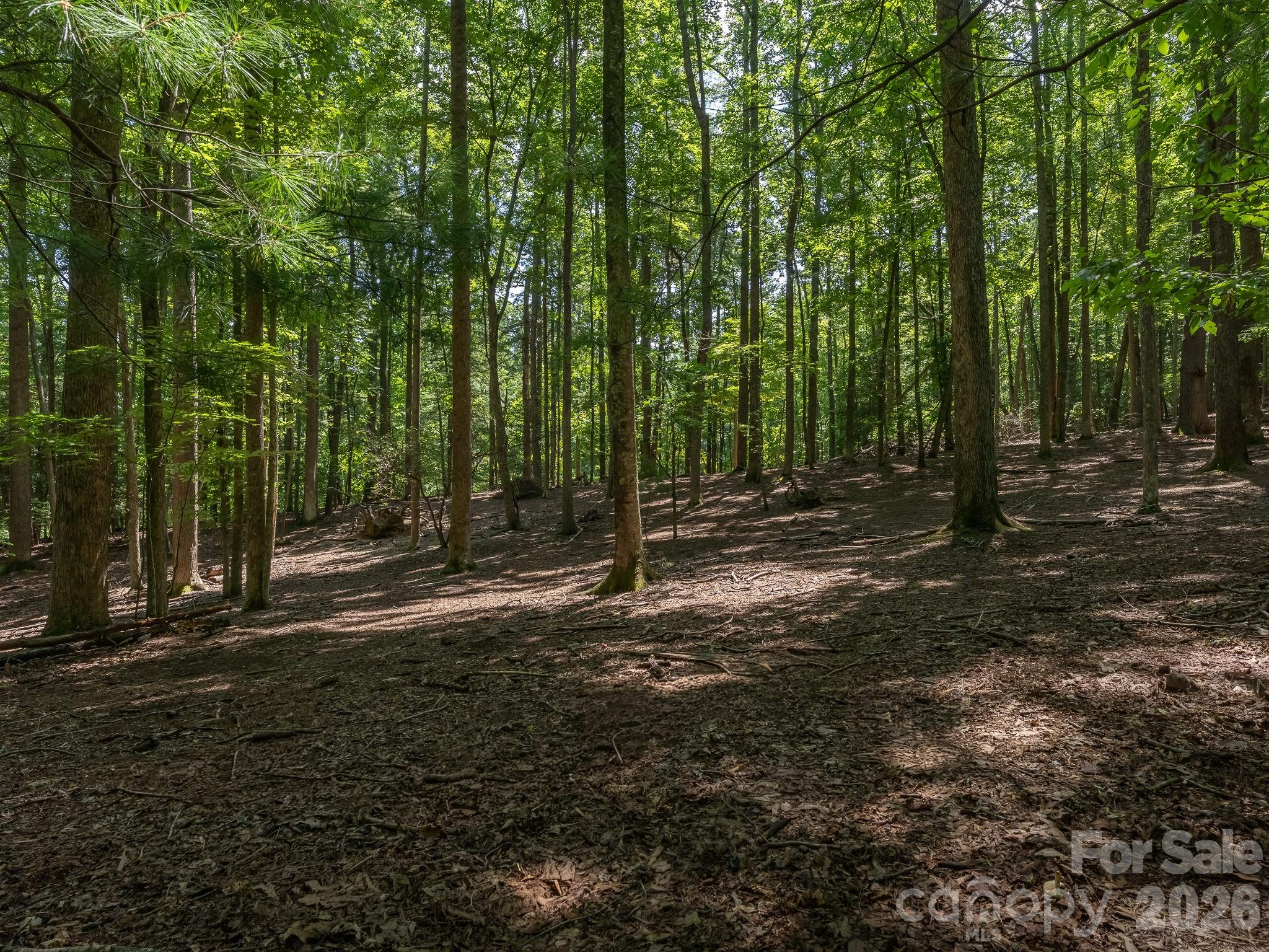 More level land on Parcel 3. - 0 Hebron Road, Hendersonville