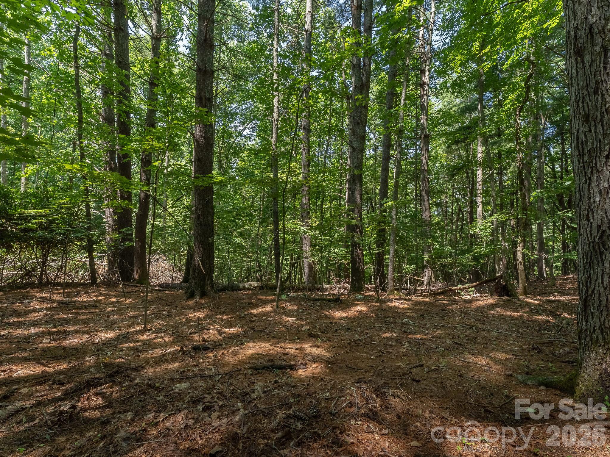 Parcel 3 - 0 Hebron Road, Hendersonville