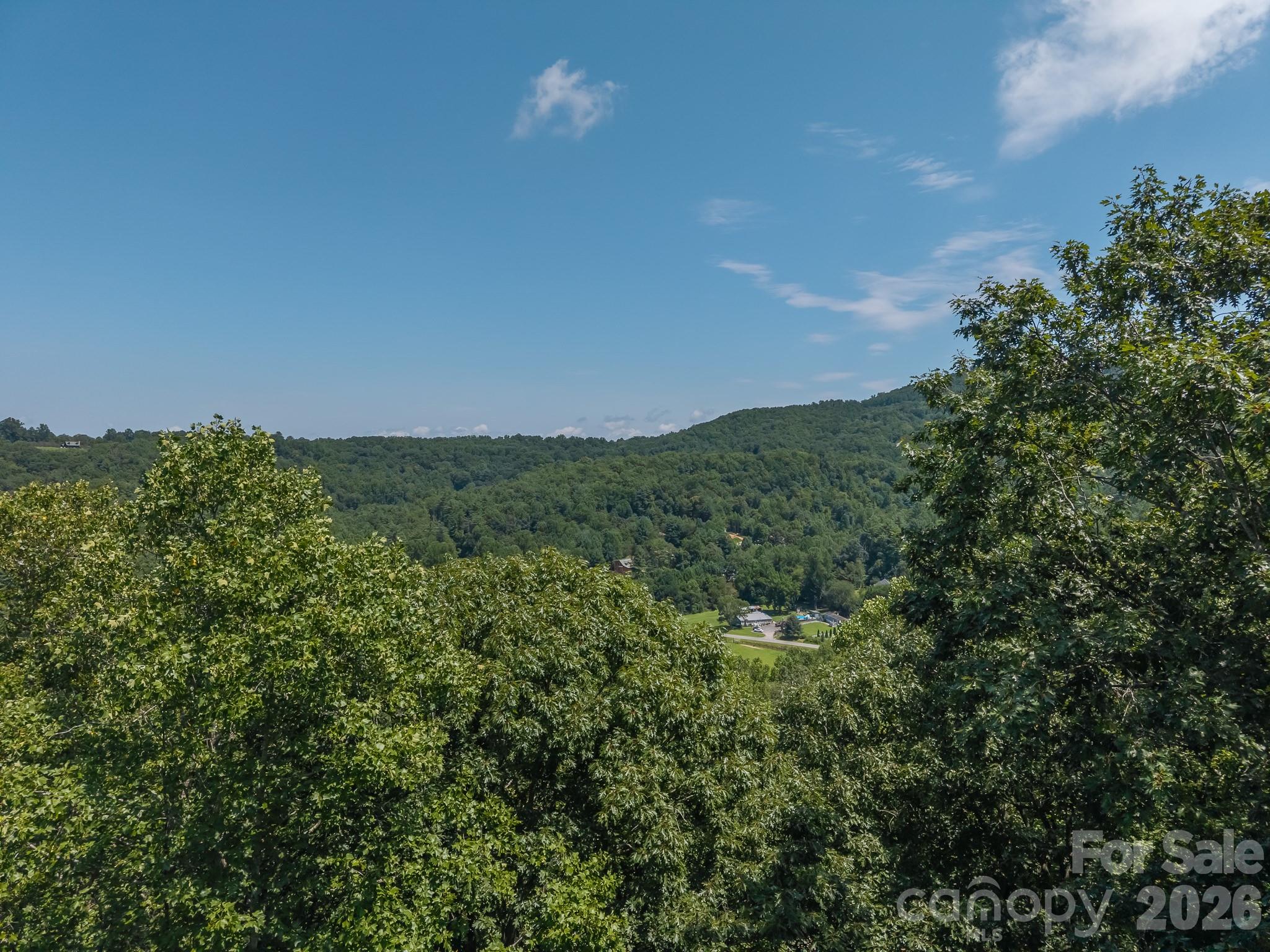 Drone shot in tree line of Parcel 3 showing potential view. - 0 Hebron Road, Hendersonville