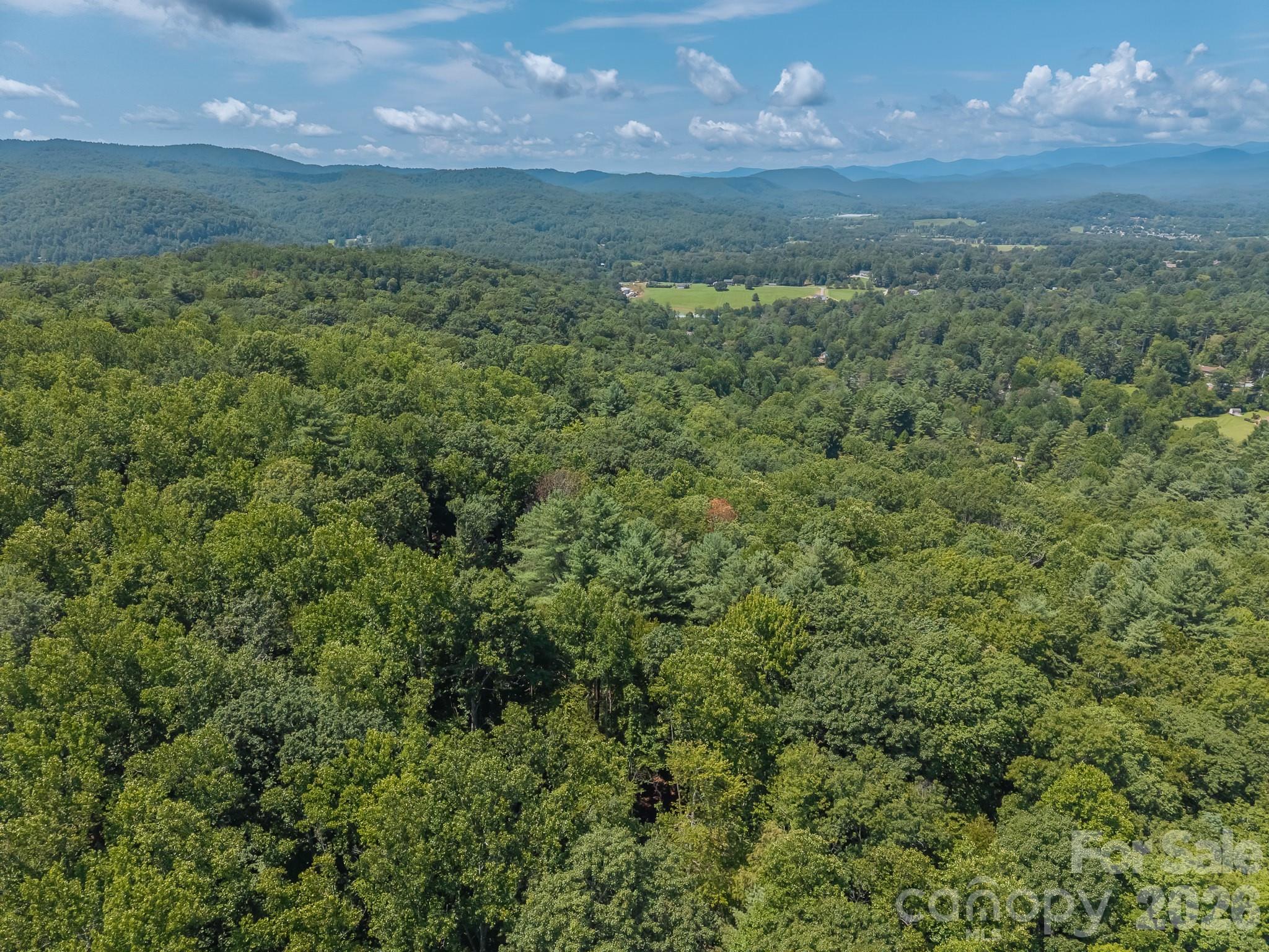 Drove Shot Parcel 3 - 0 Hebron Road, Hendersonville
