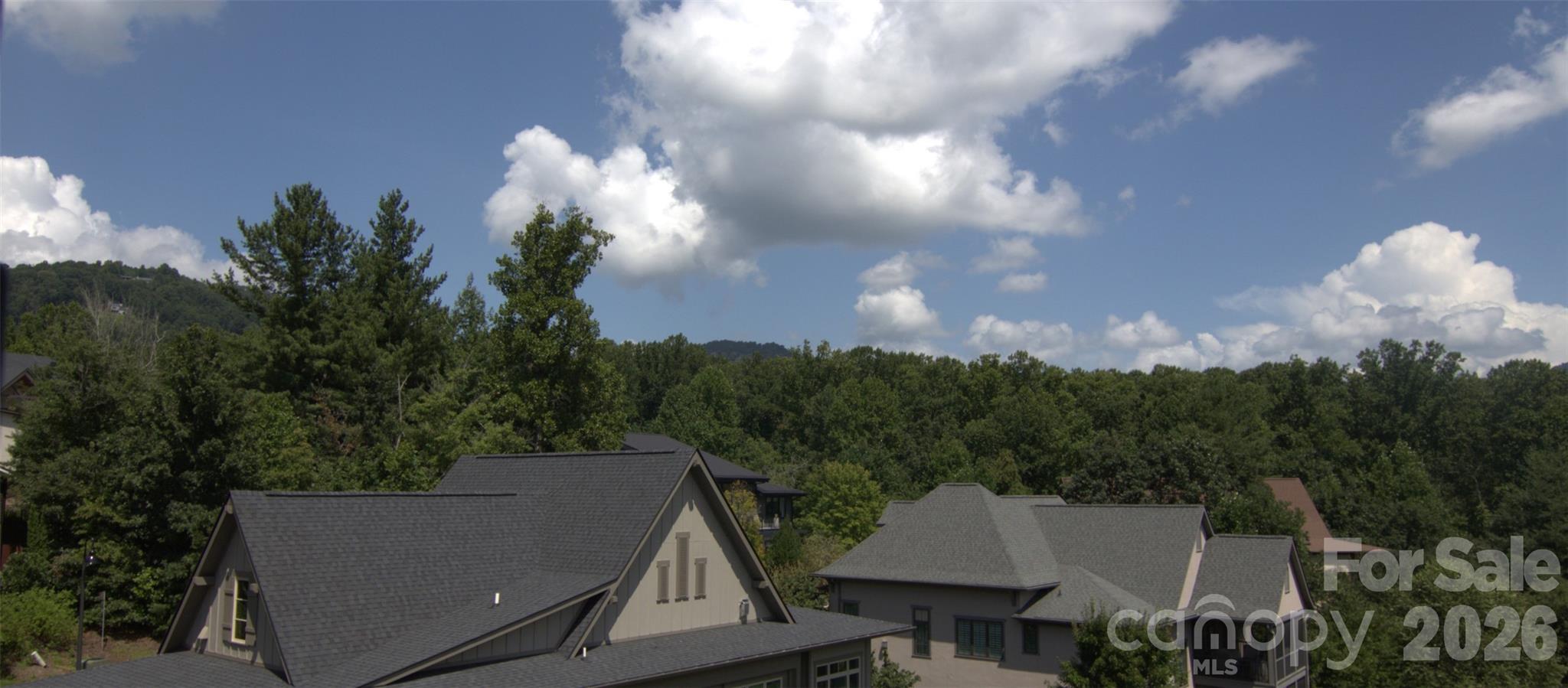 View from Screened Porch - 47 Versailles Lane, Asheville