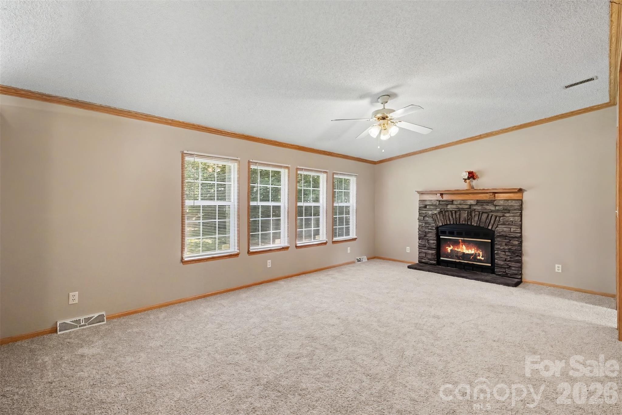 Living room area - 373 Laney Street, Kannapolis