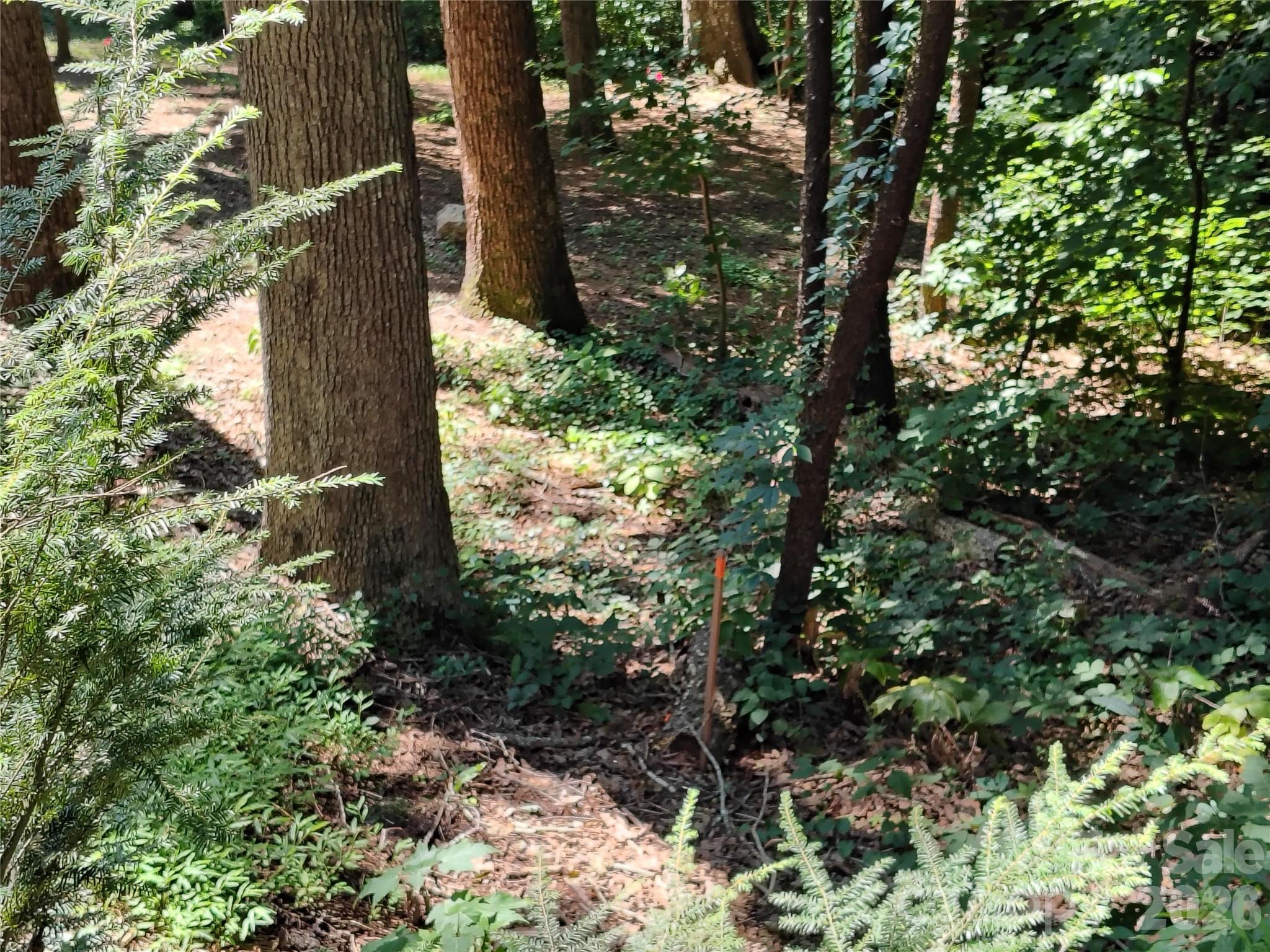 Lot at 99999 Balsam Court, Arden, photo 3 of 11