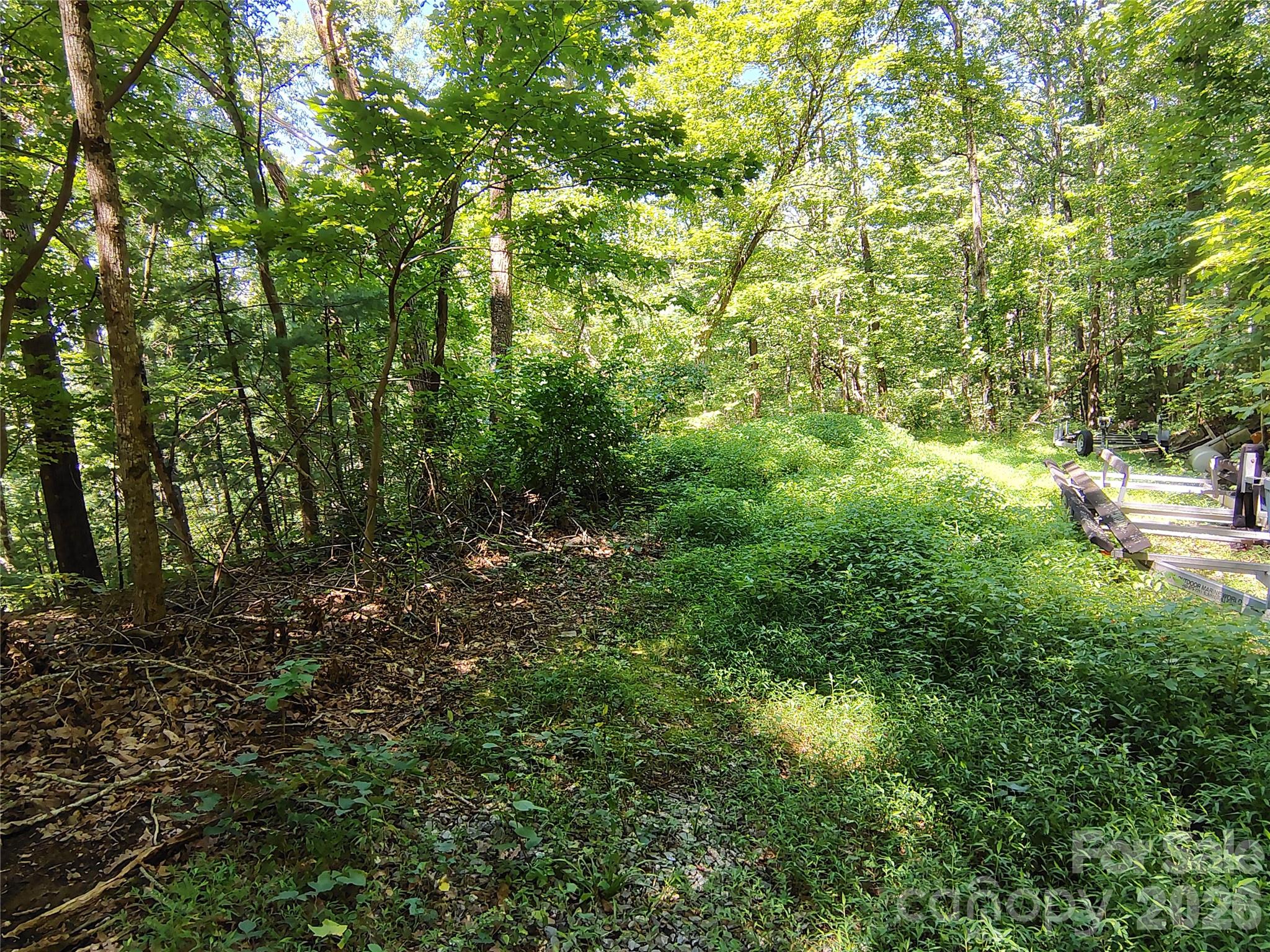 Lot at 99999 Balsam Court, Arden, photo 5 of 11