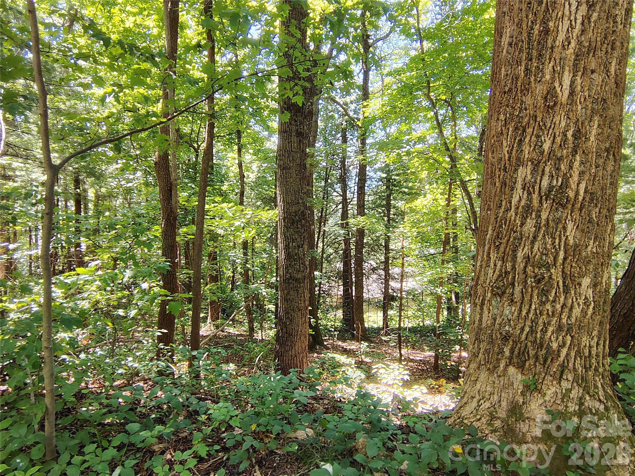 Lot at 99999 Balsam Court, Arden, photo 6 of 11