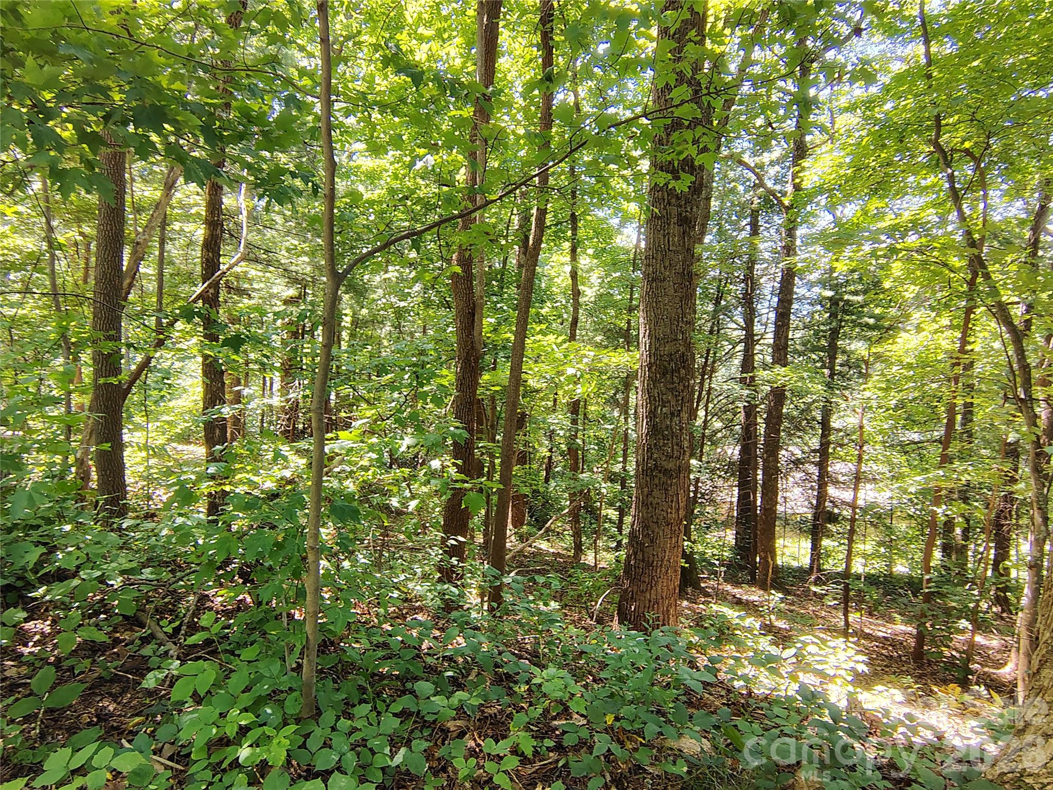 Lot at 99999 Balsam Court, Arden, photo 7 of 11