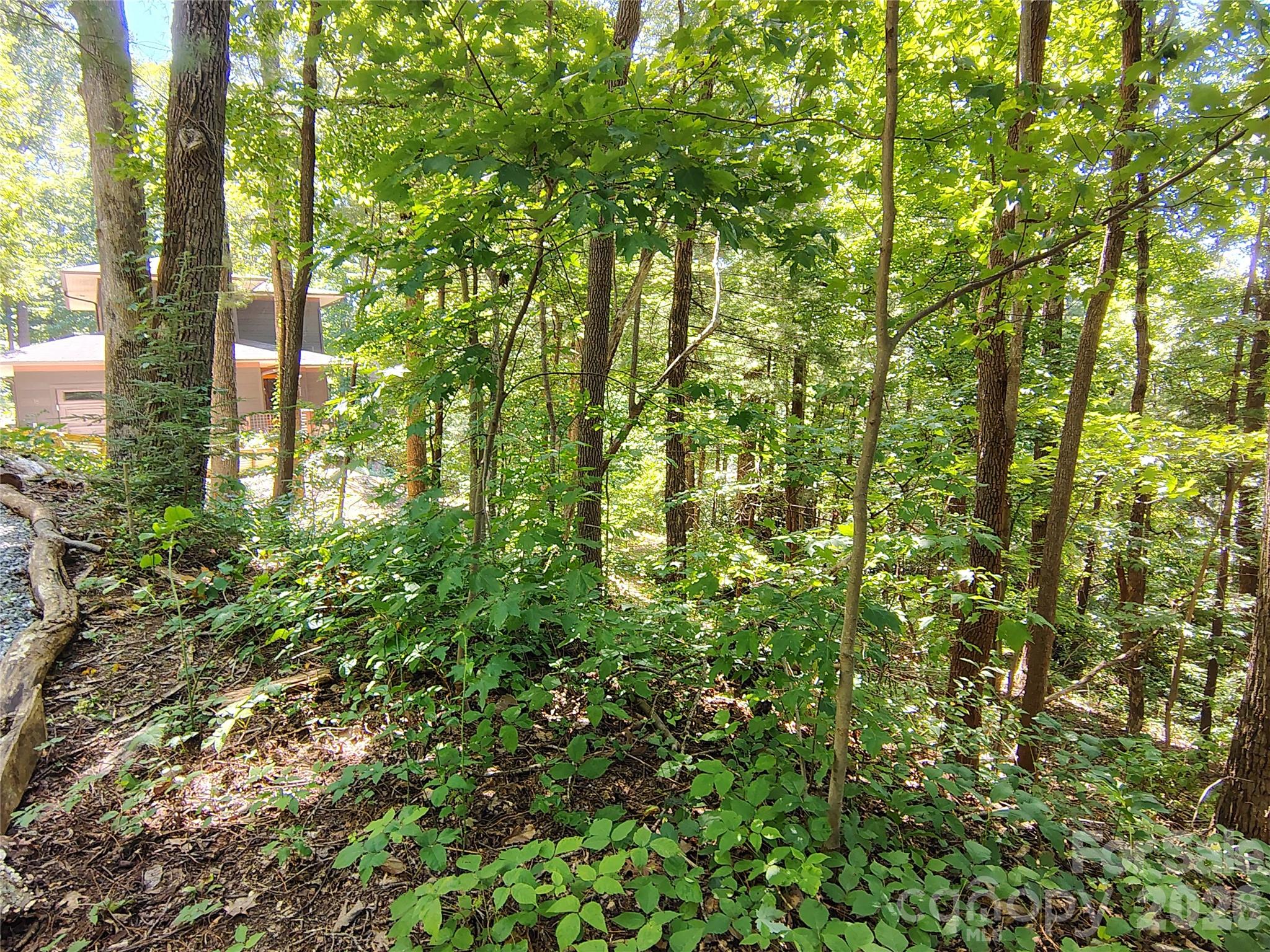 Lot at 99999 Balsam Court, Arden, photo 8 of 11
