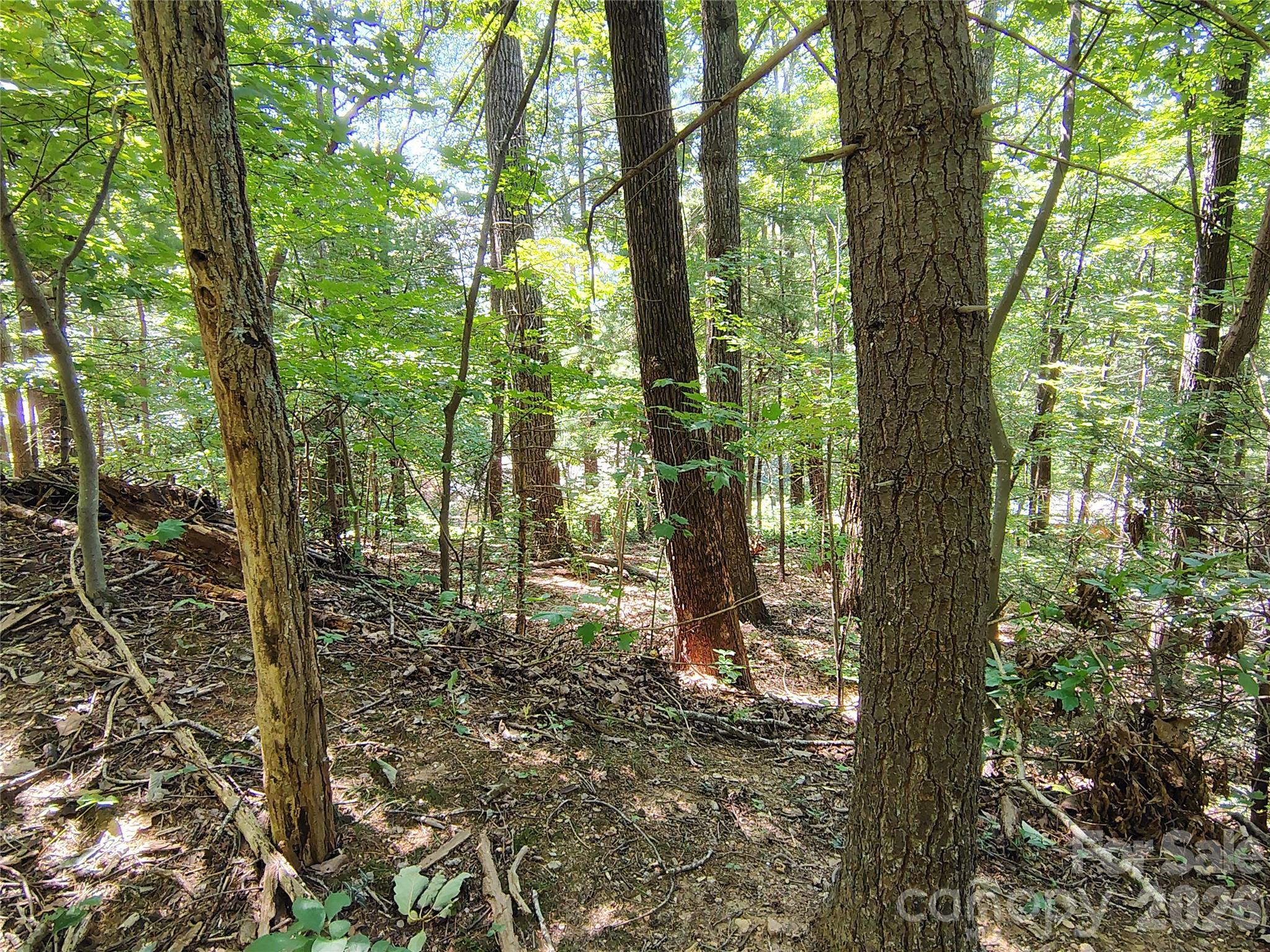 Lot at 99999 Balsam Court, Arden, photo 9 of 11
