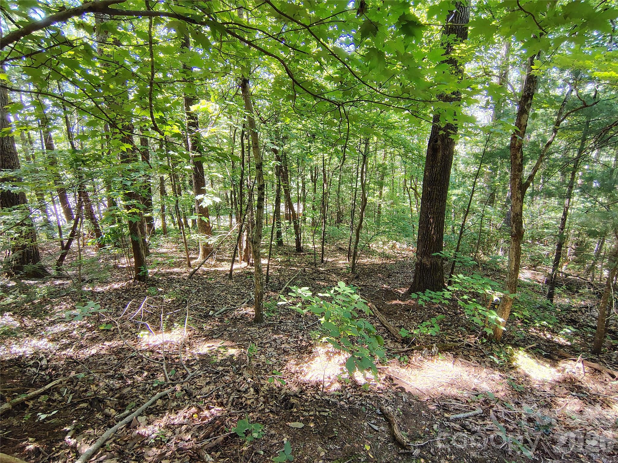 Lot at 99999 Balsam Court, Arden, photo 11 of 11