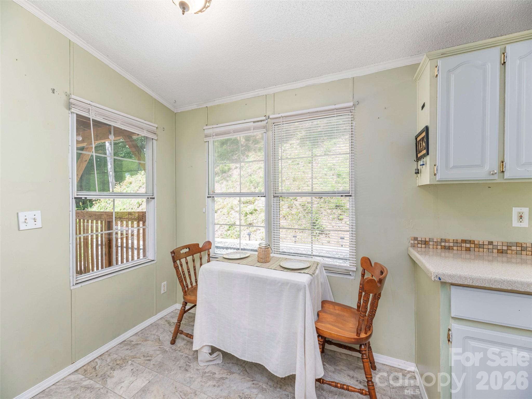 Single Family Residence at 152 Hollon Cove, Waynesville, photo 11 of 21