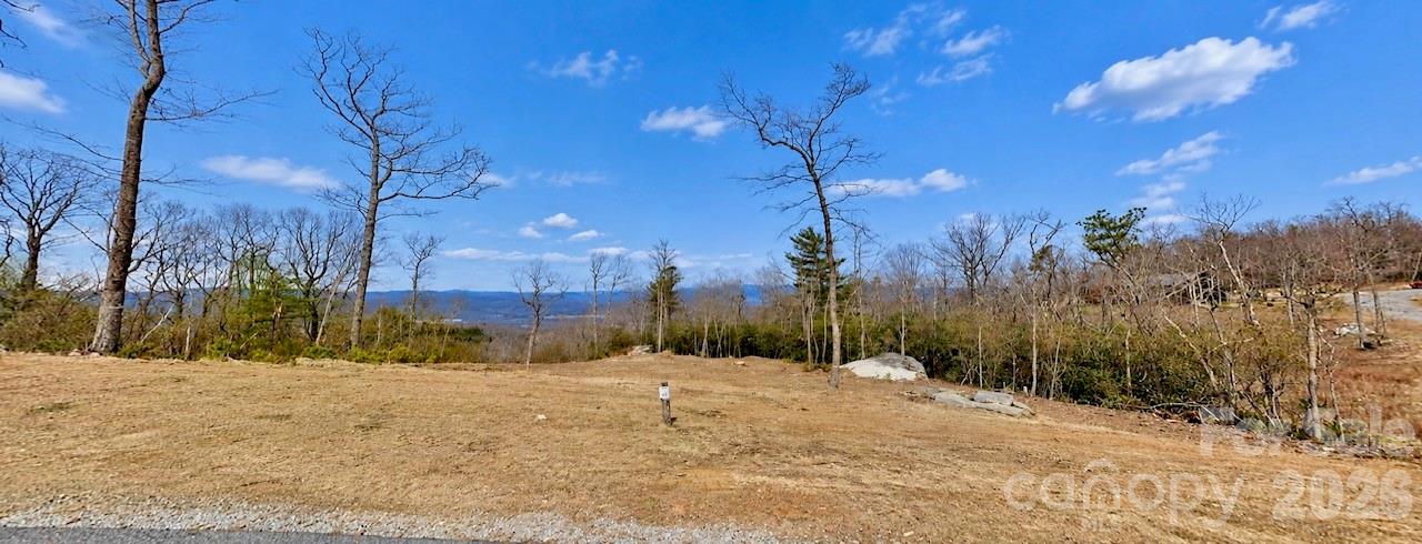 lot cleared before summer growth - 99999 Mountain Grove Lane, Fletcher