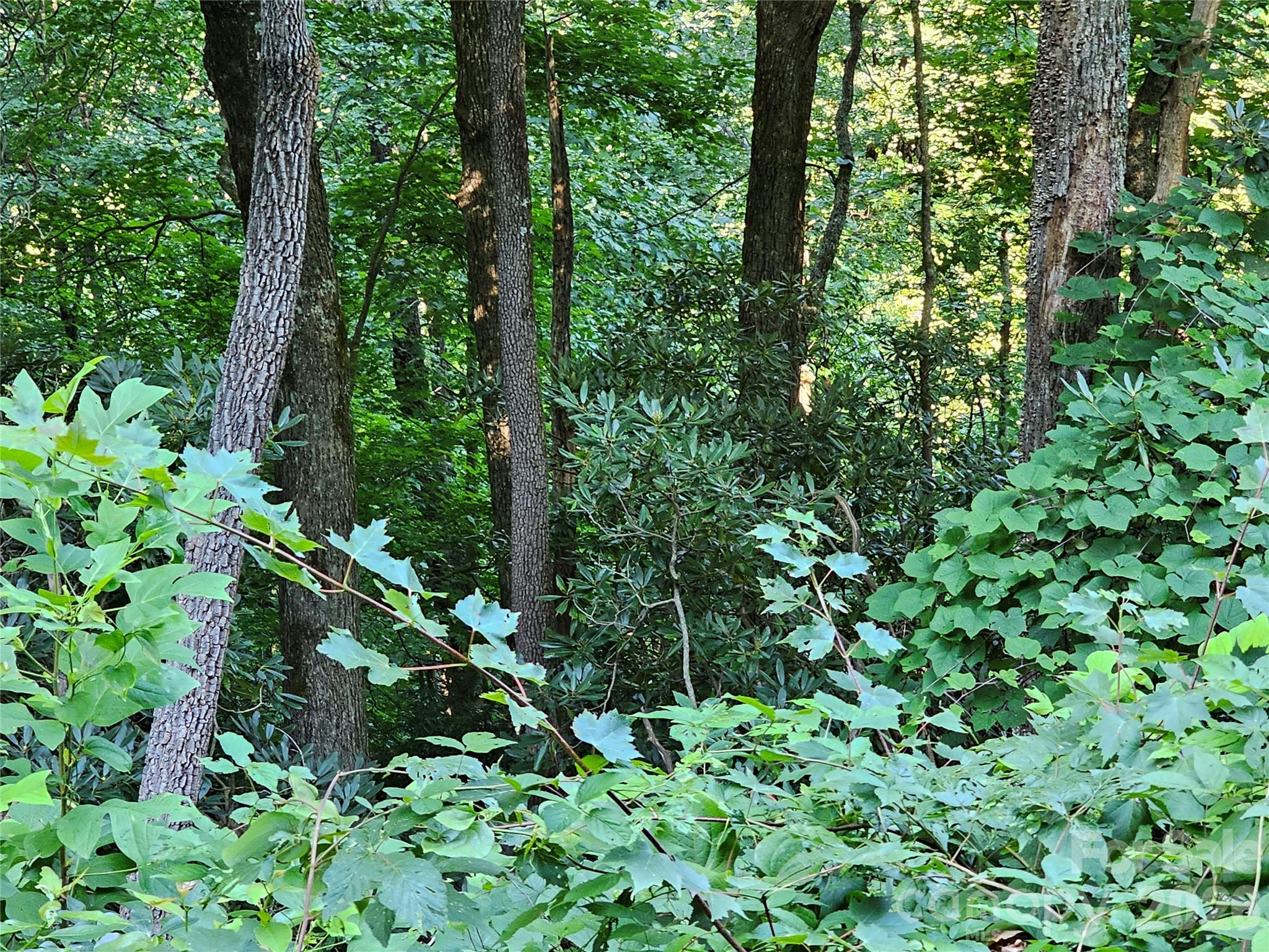 WOODED LOT - 109 Big Ridge Road, Burnsville