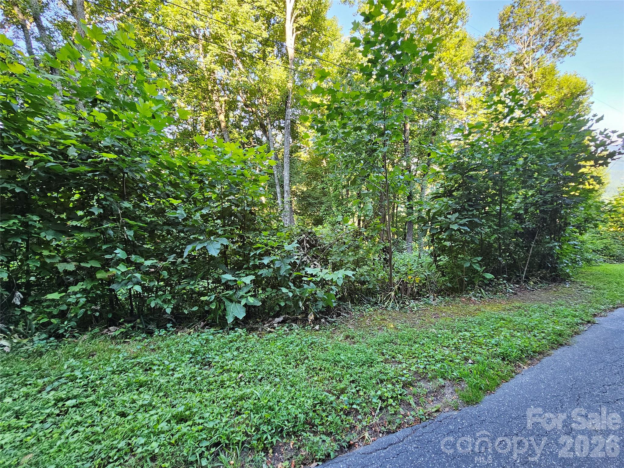 ROAD FRONTAGE VIEW - 109 Big Ridge Road, Burnsville