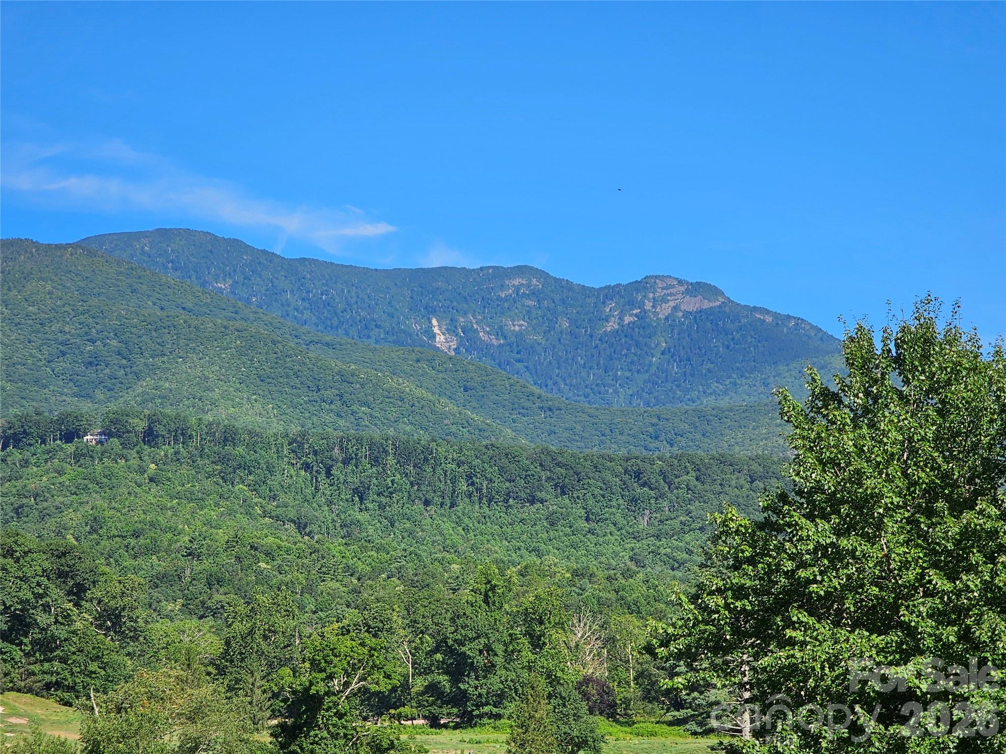 MT MITCHELL GOLF COURSE VIEW IN FRONT OF COMMUNITY - 109 Big Ridge Road, Burnsville