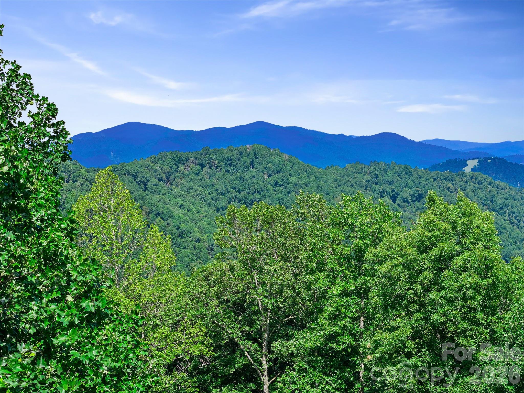 Single Family Residence at 185 Blue Bird Lane, Spruce Pine, photo 37 of 42