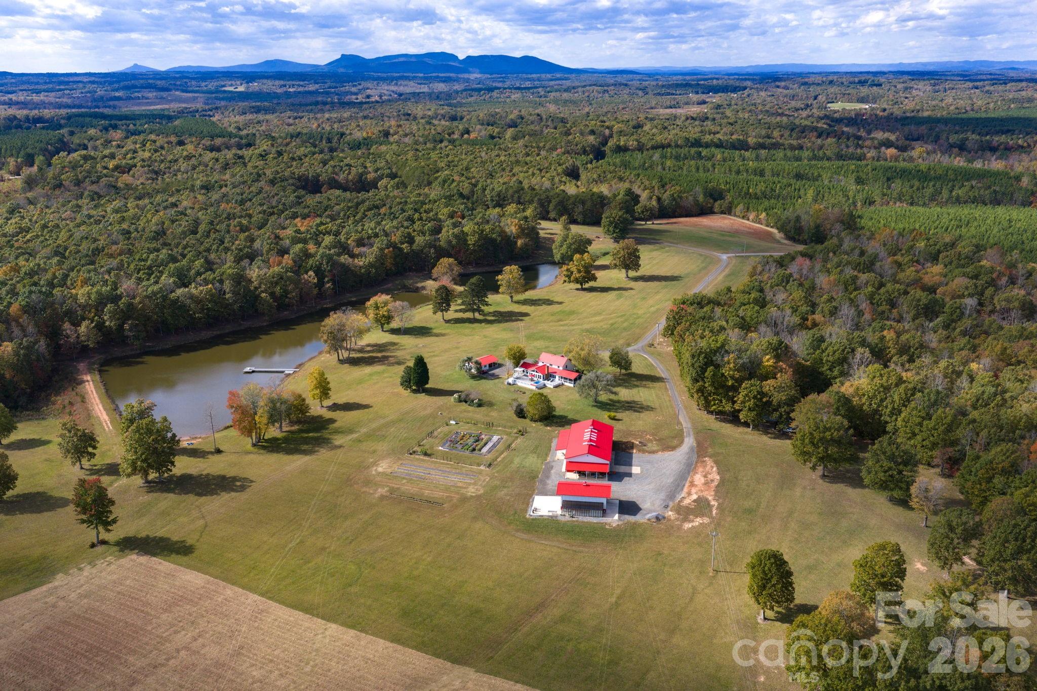 Blend of open pasture and mature hardwoods - 1260 Beaver Island Trail Road, Walnut Cove