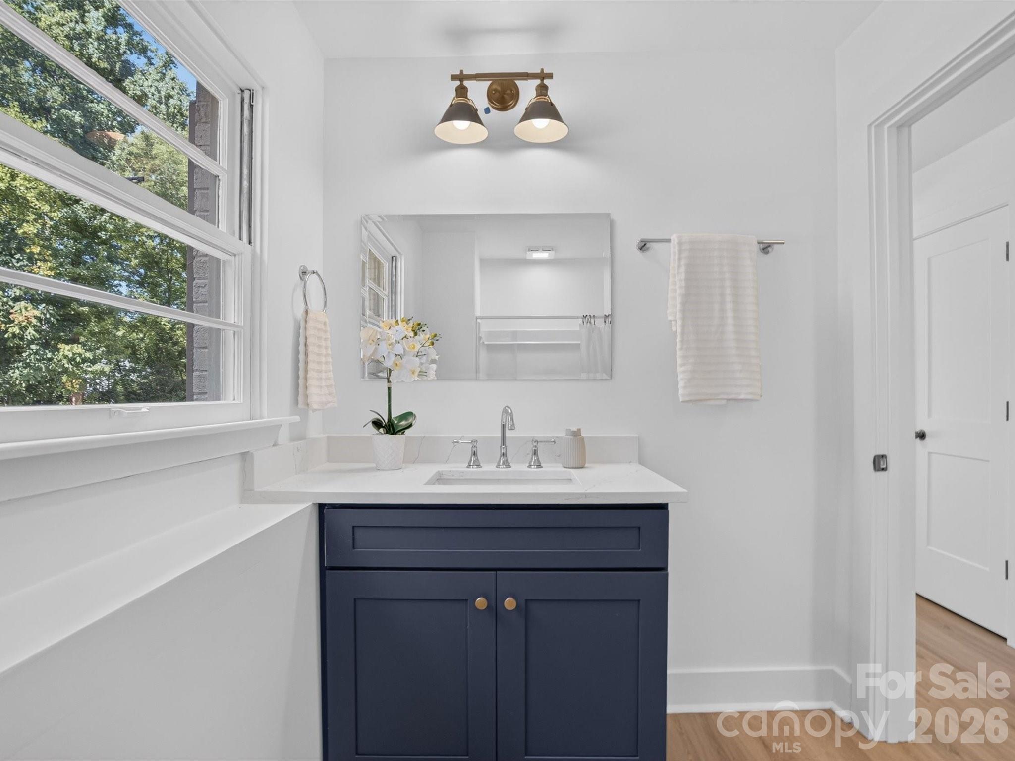 A bold vanity adds character. - 2532 Sam Newell Road, Matthews