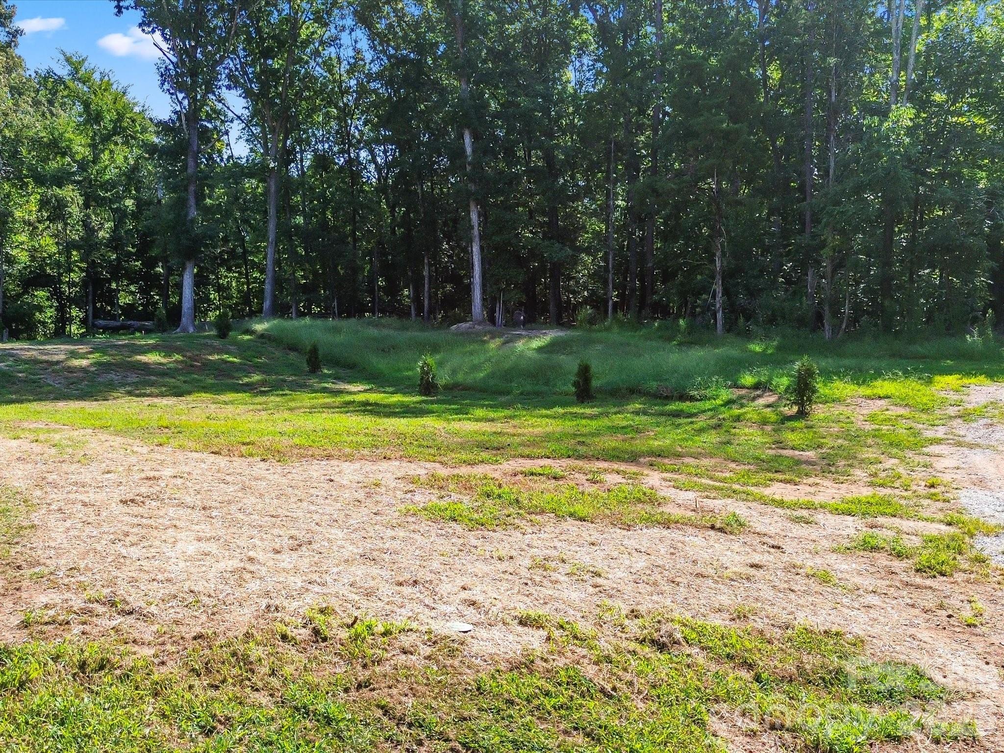 Large/Flat Backyard - 2532 Sam Newell Road, Matthews