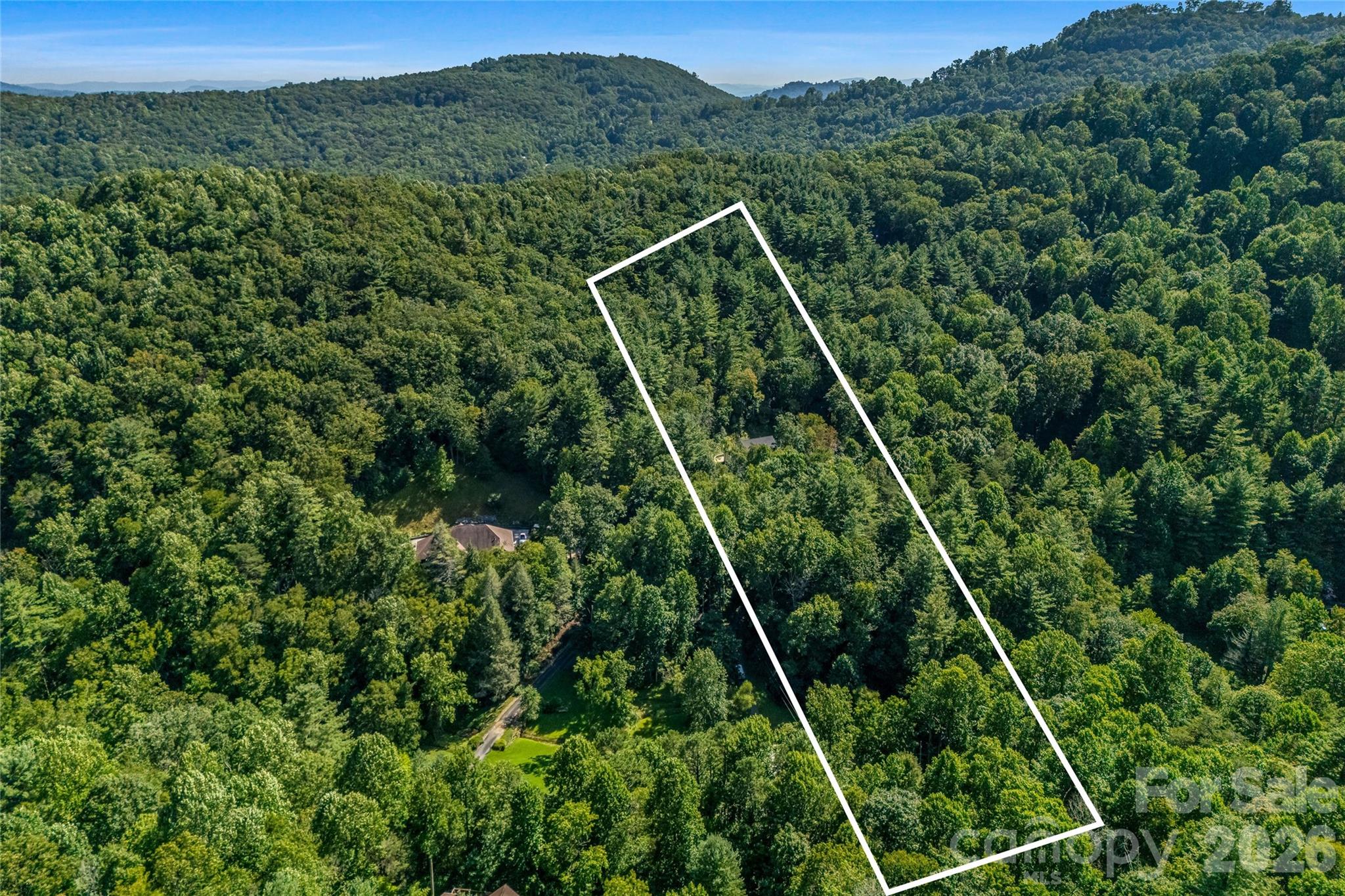 6.02 Private wooded acres - 820 Merrills Cove Road, Asheville