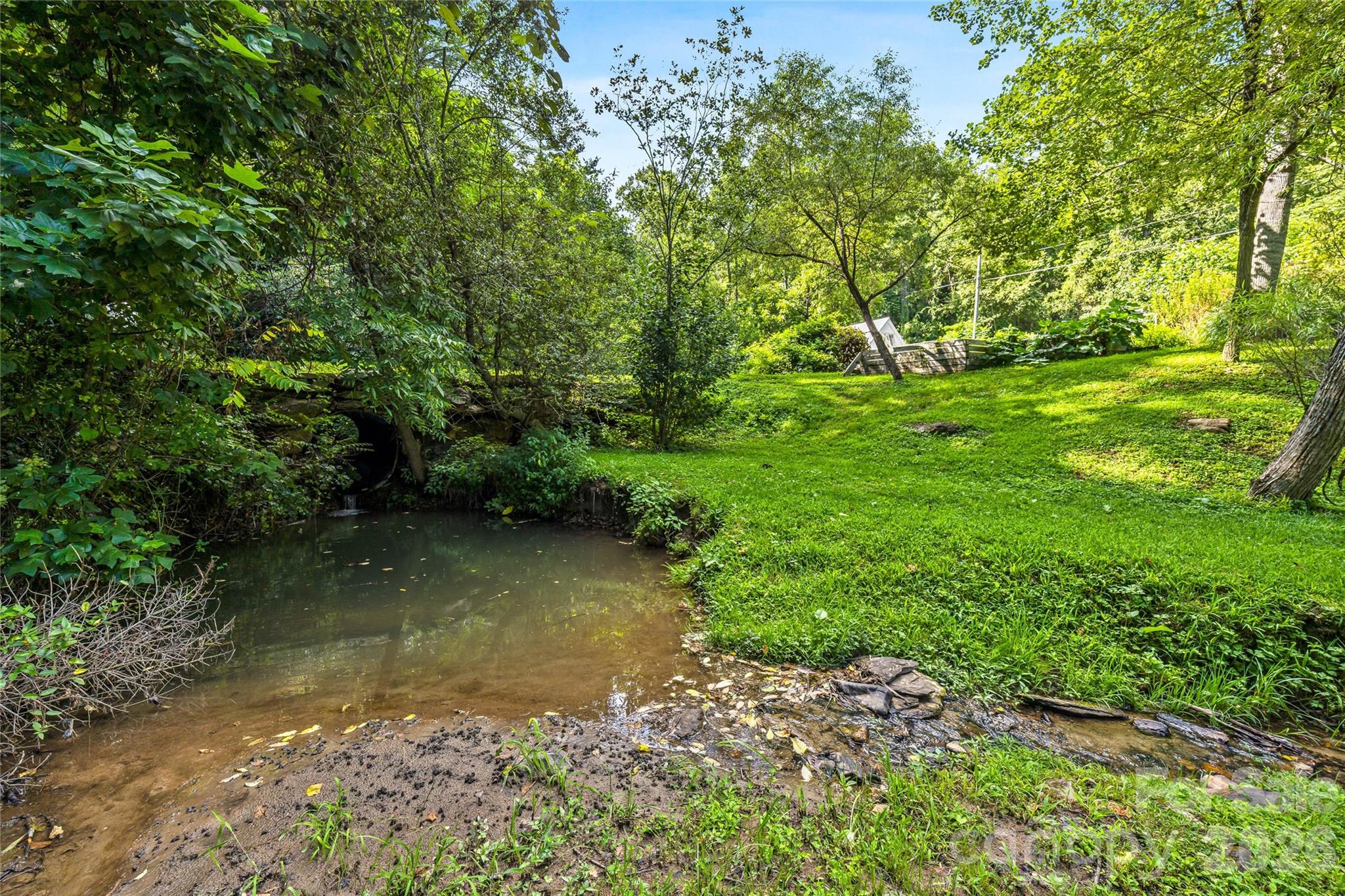 Creek meanders through property - 820 Merrills Cove Road, Asheville